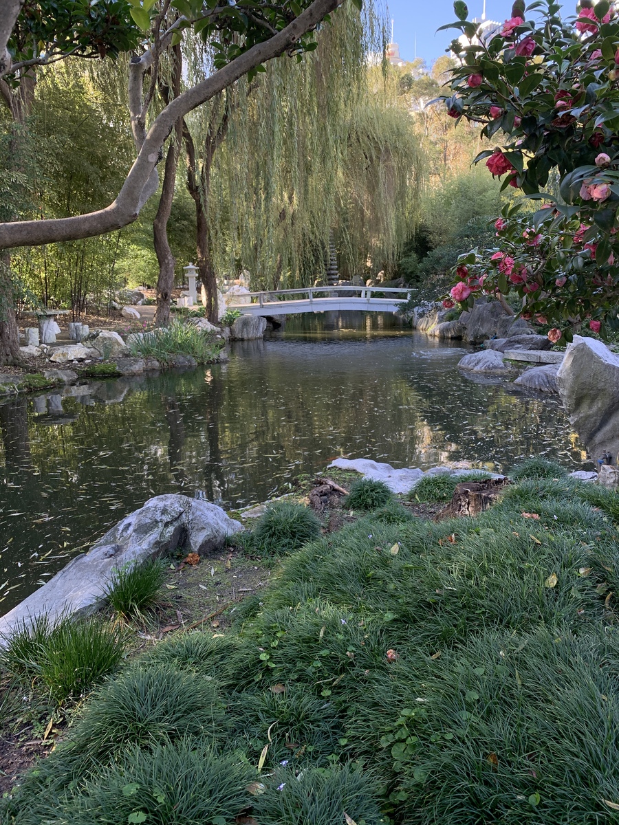 详细描述一下瘦西湖园林景观存在的问题