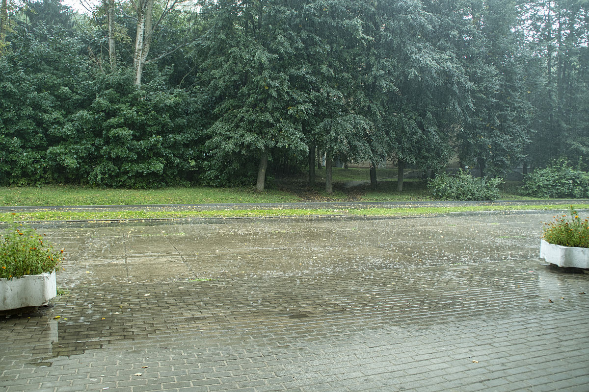 下雨天：宁静与美丽的邂逅