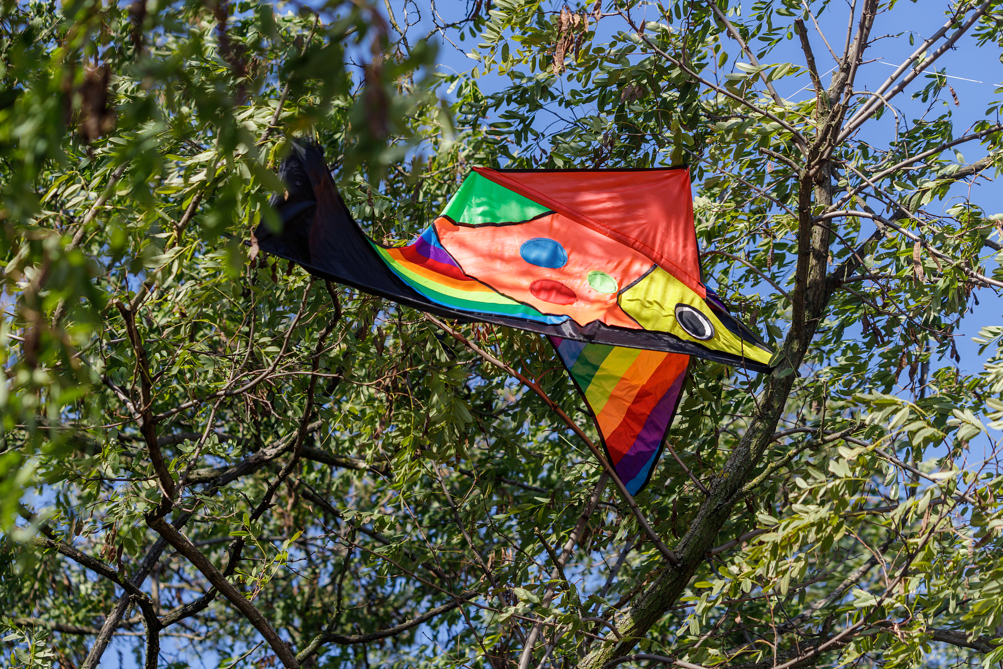 brightly colored kite trapped in a tree crown. color kite accide