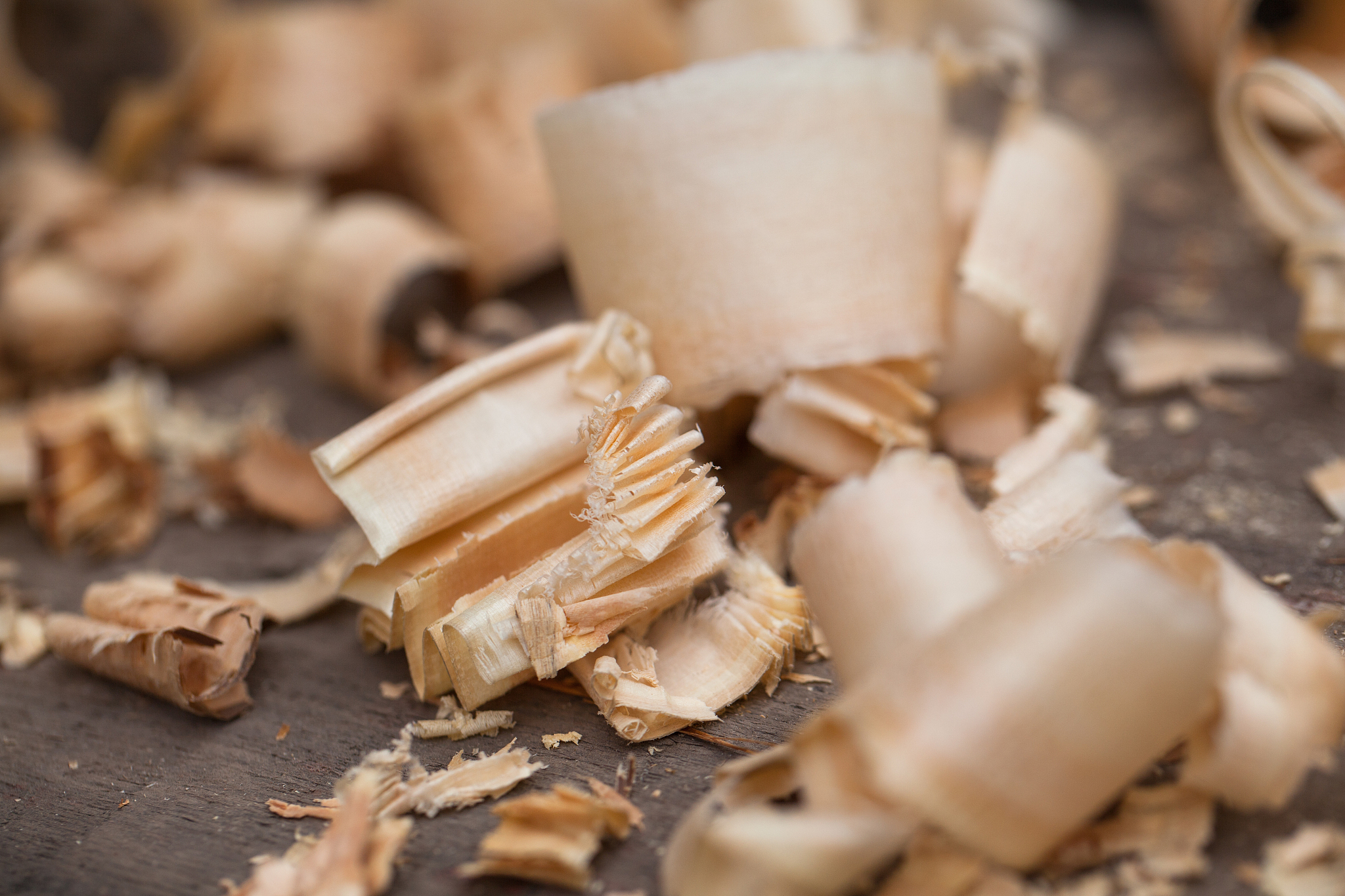 家居博主揭秘：家具材料选购指南，打造完美家居！