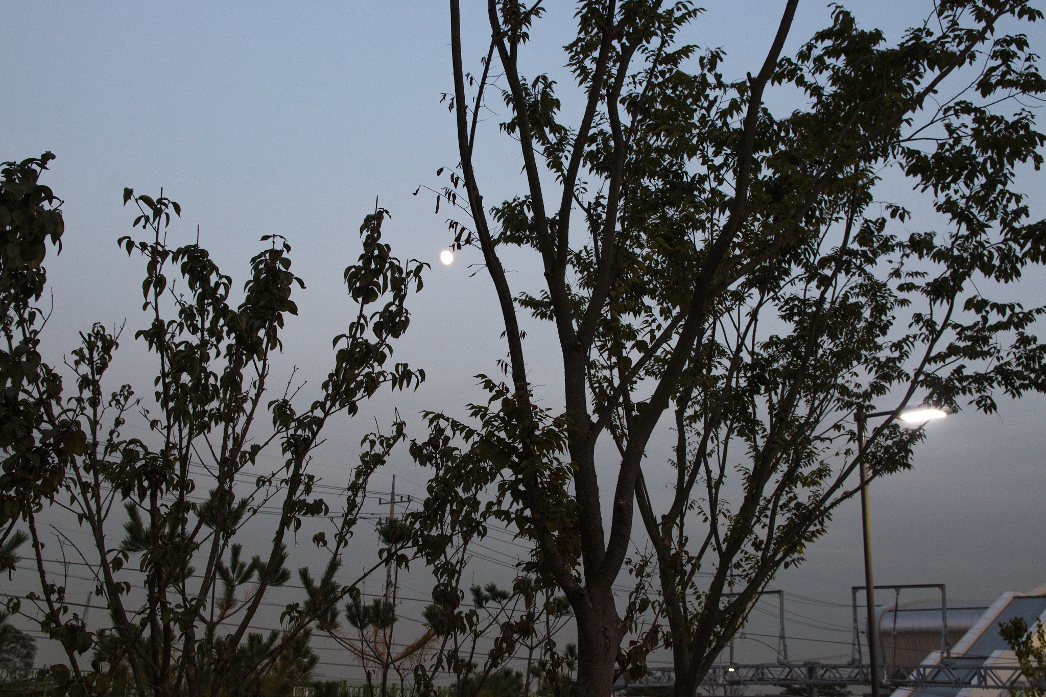 华三交换机接口三层配置教程：步骤详解