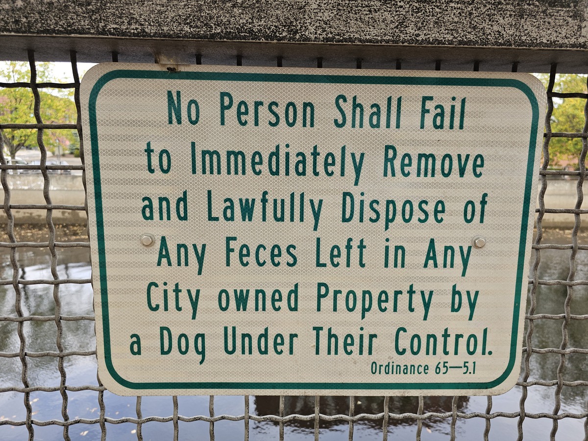 Wrongful Dismissal Damages: What Can You Be Awarded?