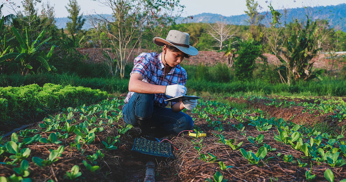 勤劳农民的奇遇：古老秘籍与神奇收获
