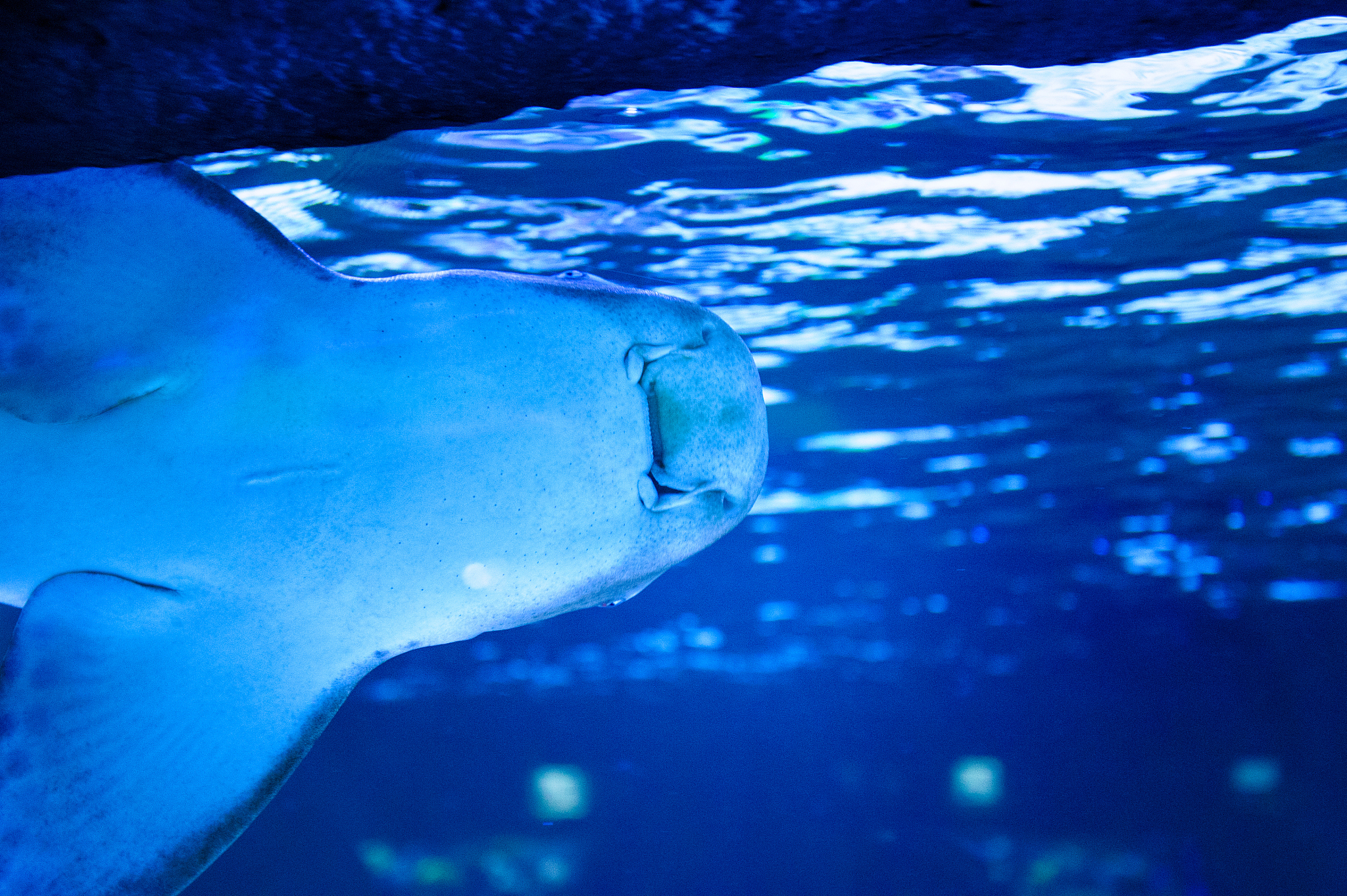 写出一段关于海的歌词