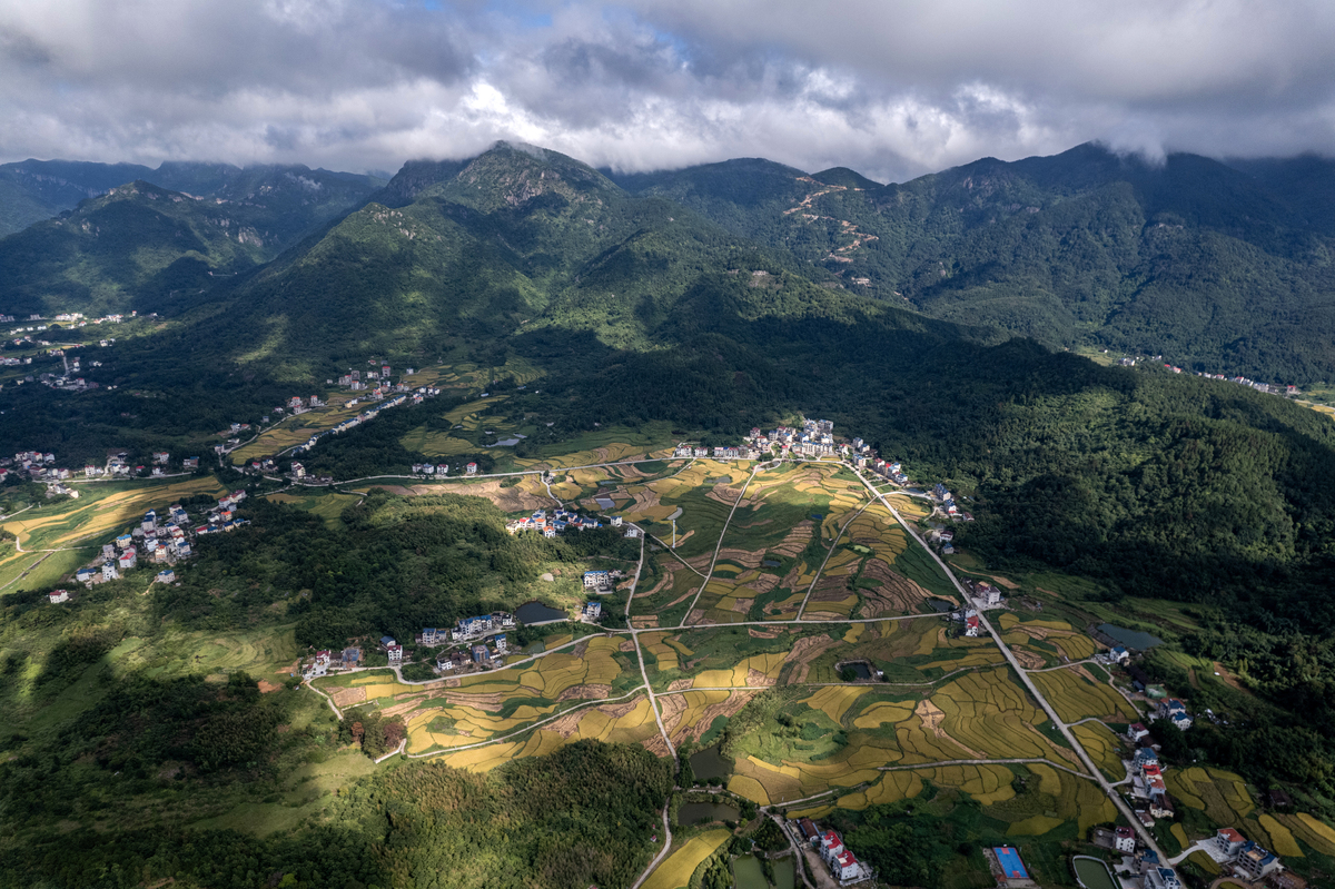 庆元县填底地点及野村人口概况