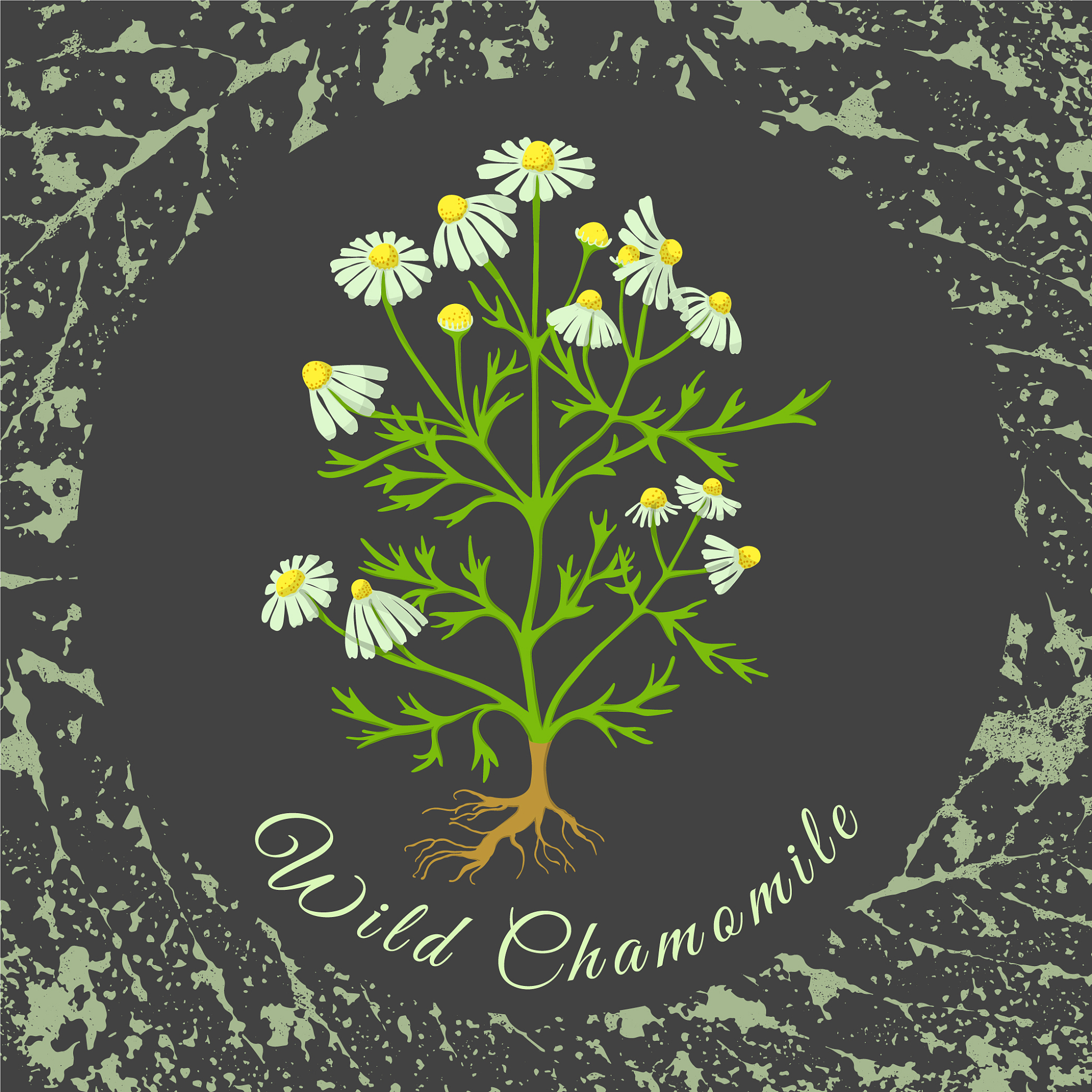 云南林业职业技术学院省级重点特色专业：野生植物资源开发与利用