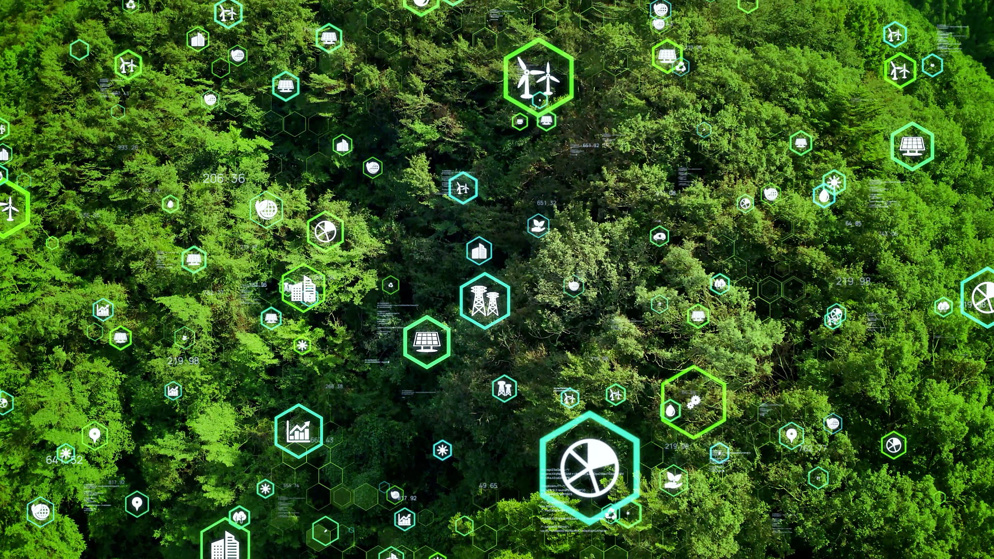 文章关于明天故事的