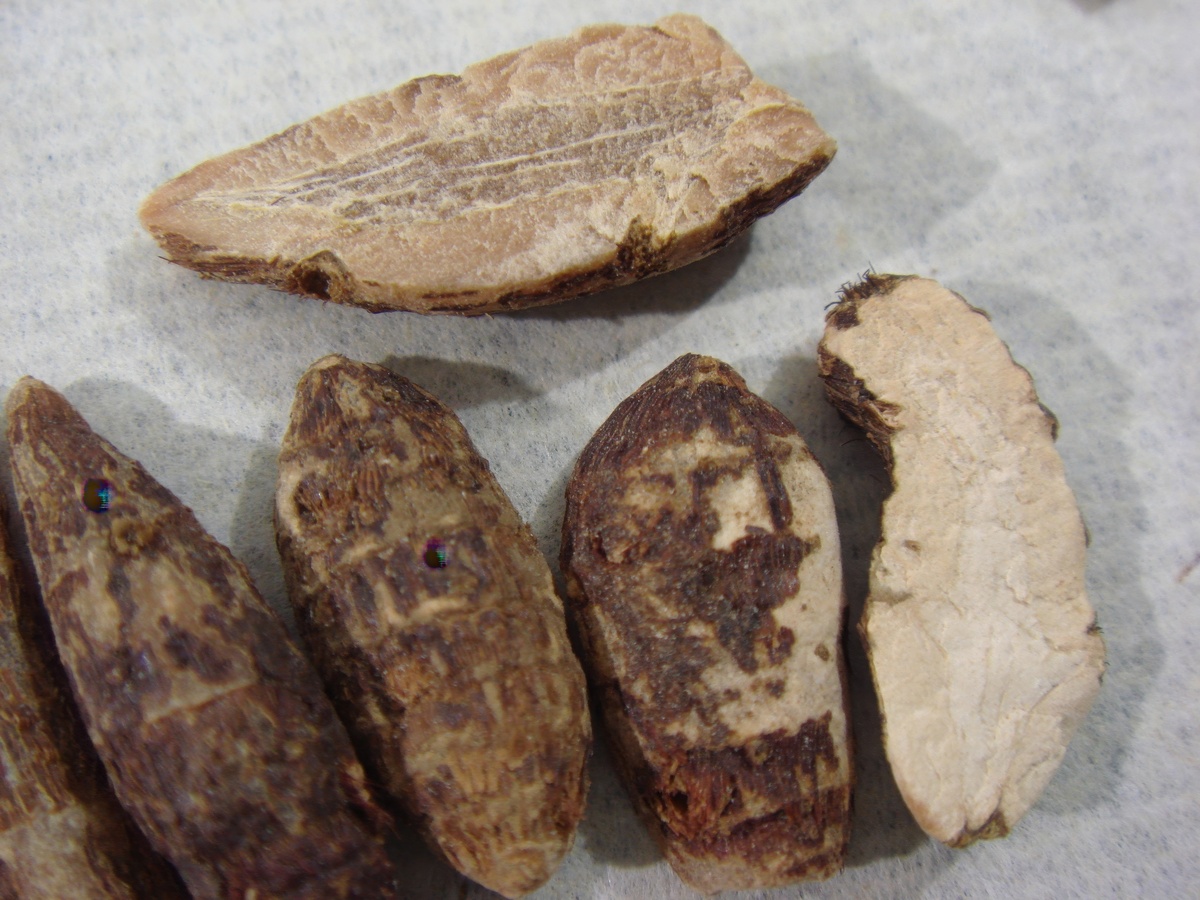 土茯苓有什么功效