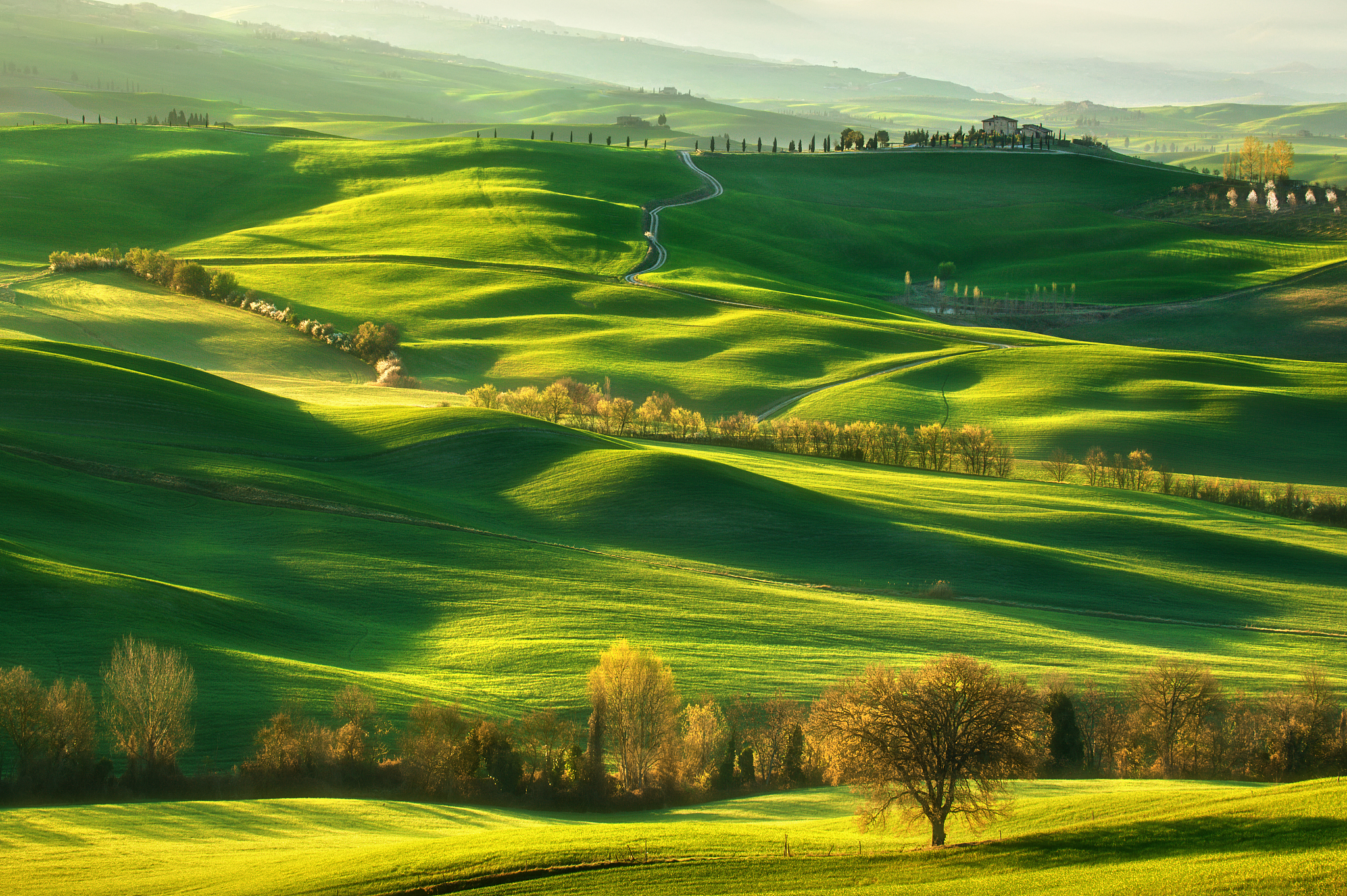 spring on hills...
