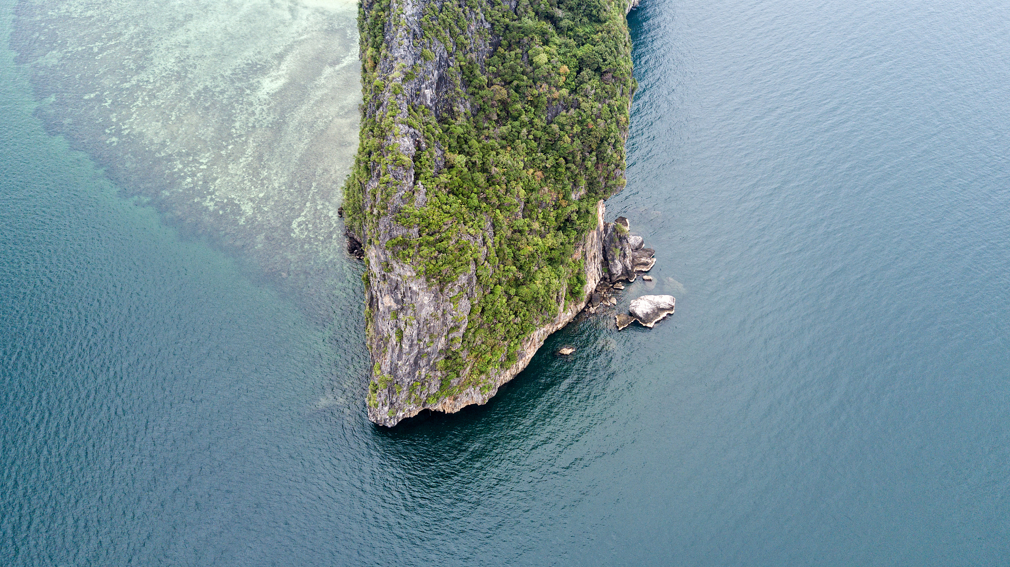 the mountain on the ocean floor.