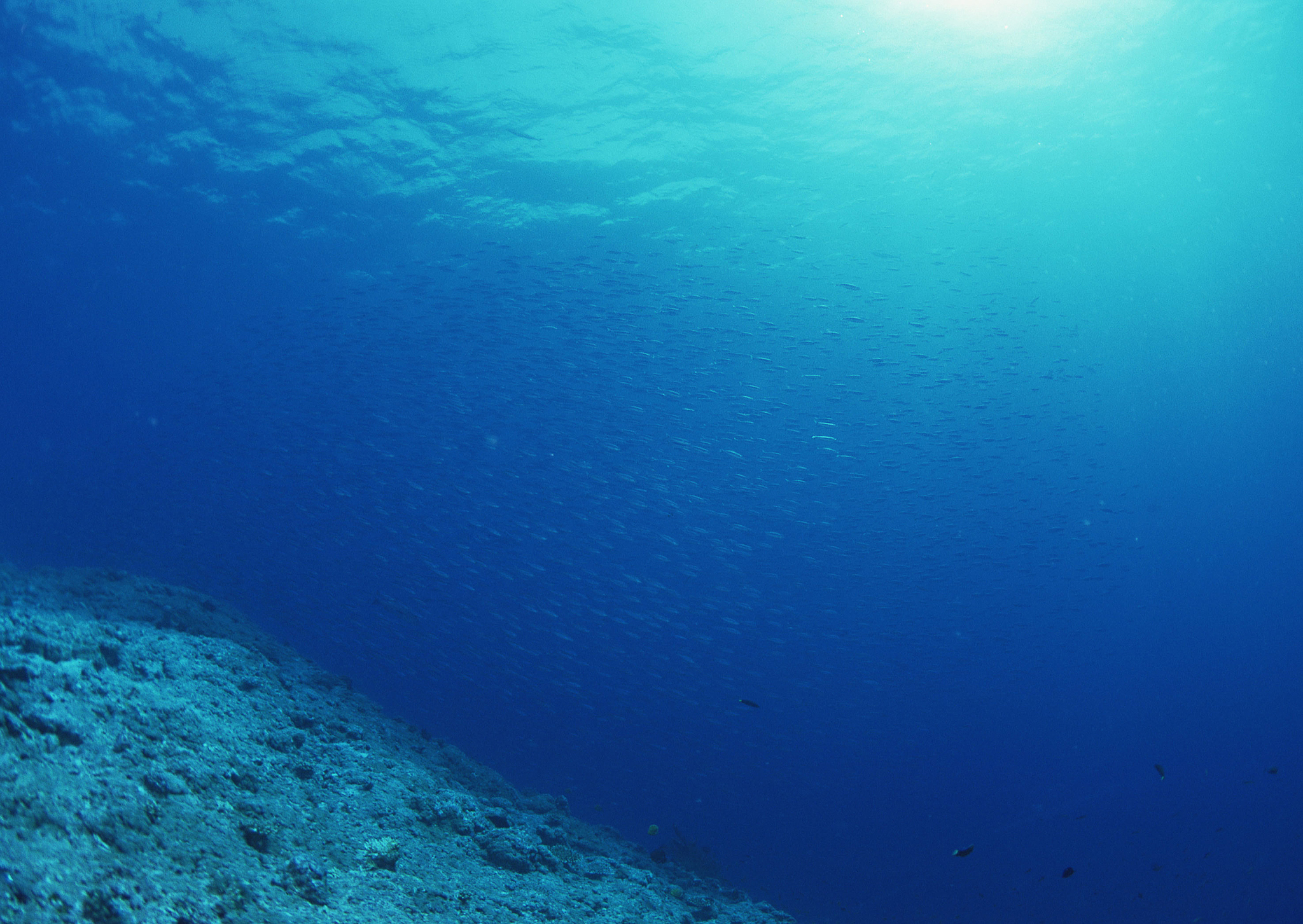 bottom of sea