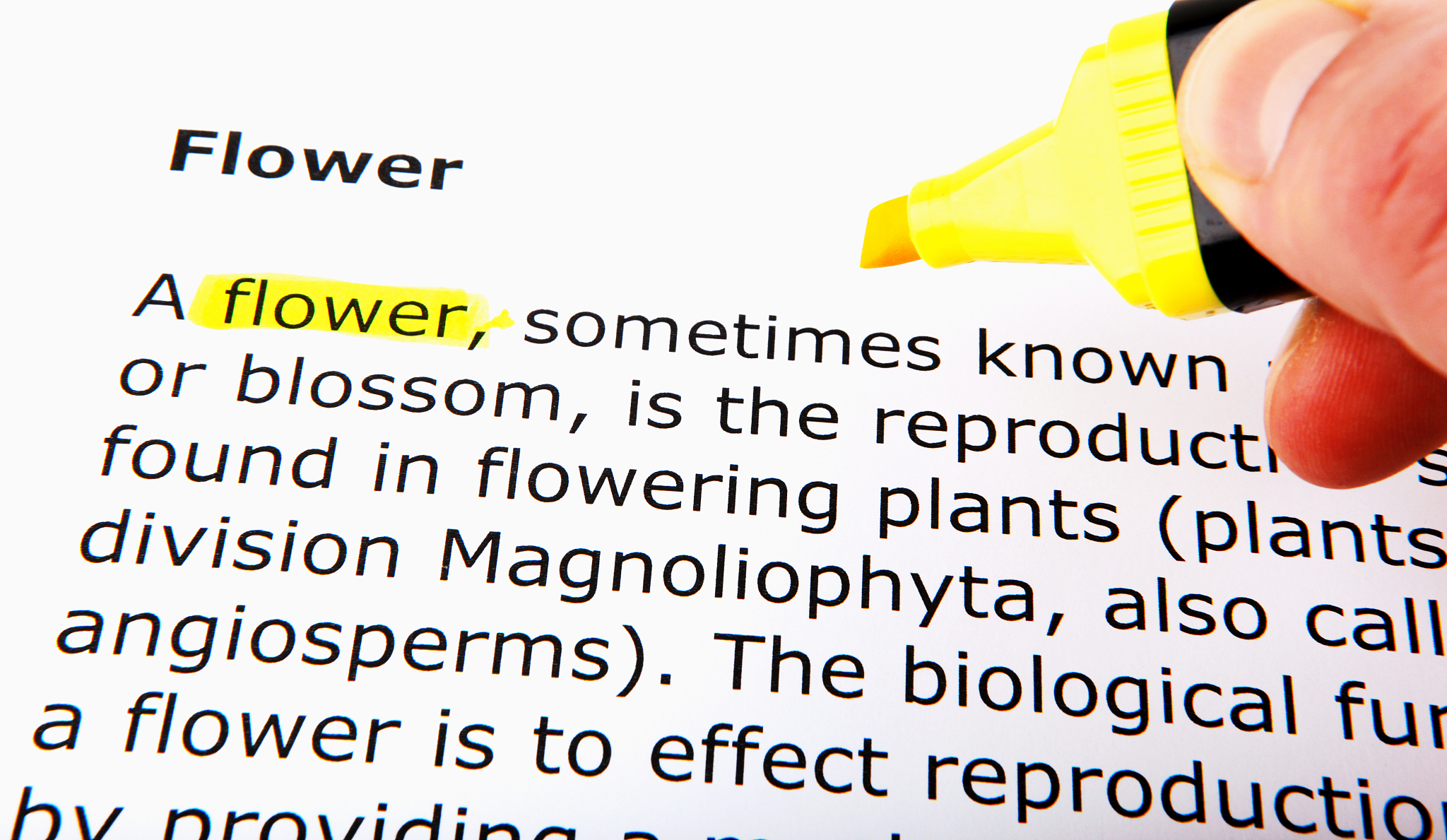 唐山艺术学校2022年招生简章：音乐、舞蹈、美术、戏剧等专业招生