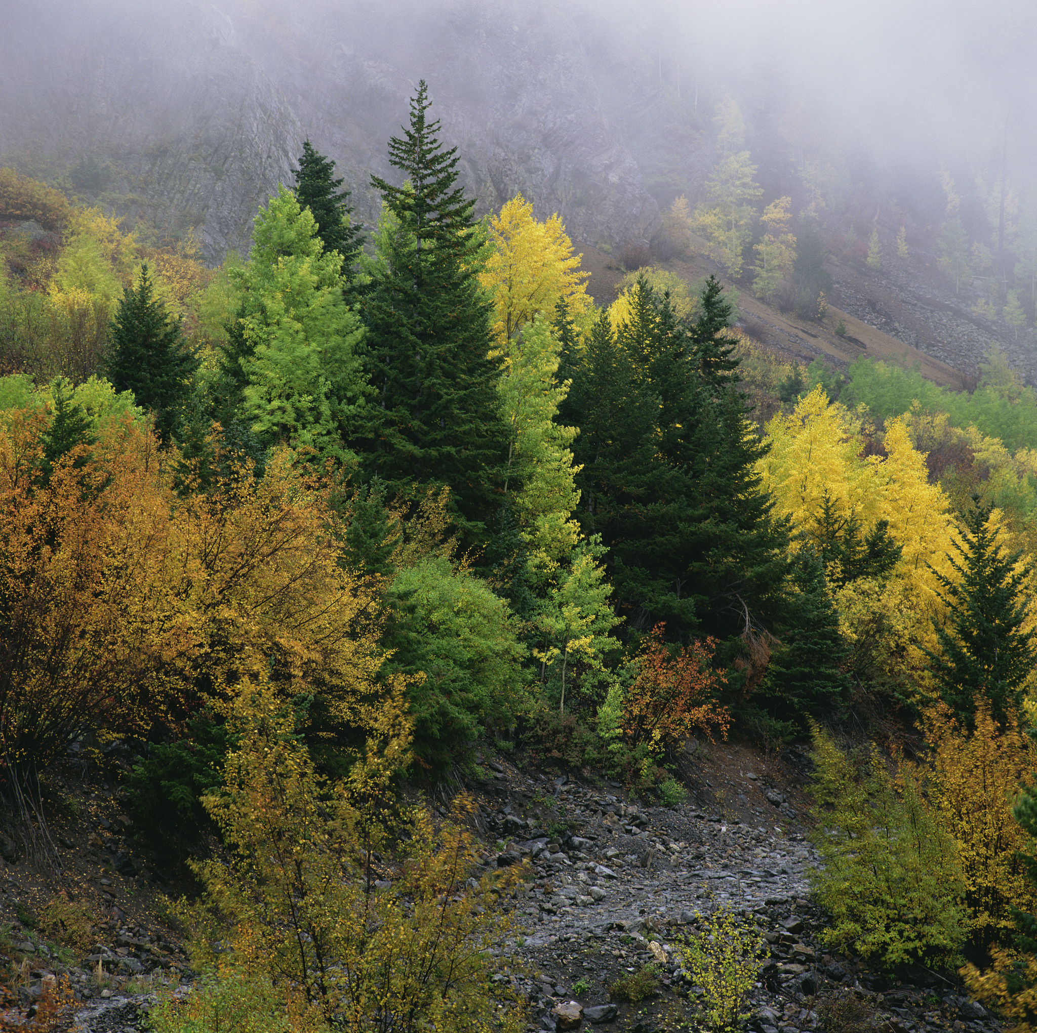 工程师任职评审表模板 - 技能评估与人才测评