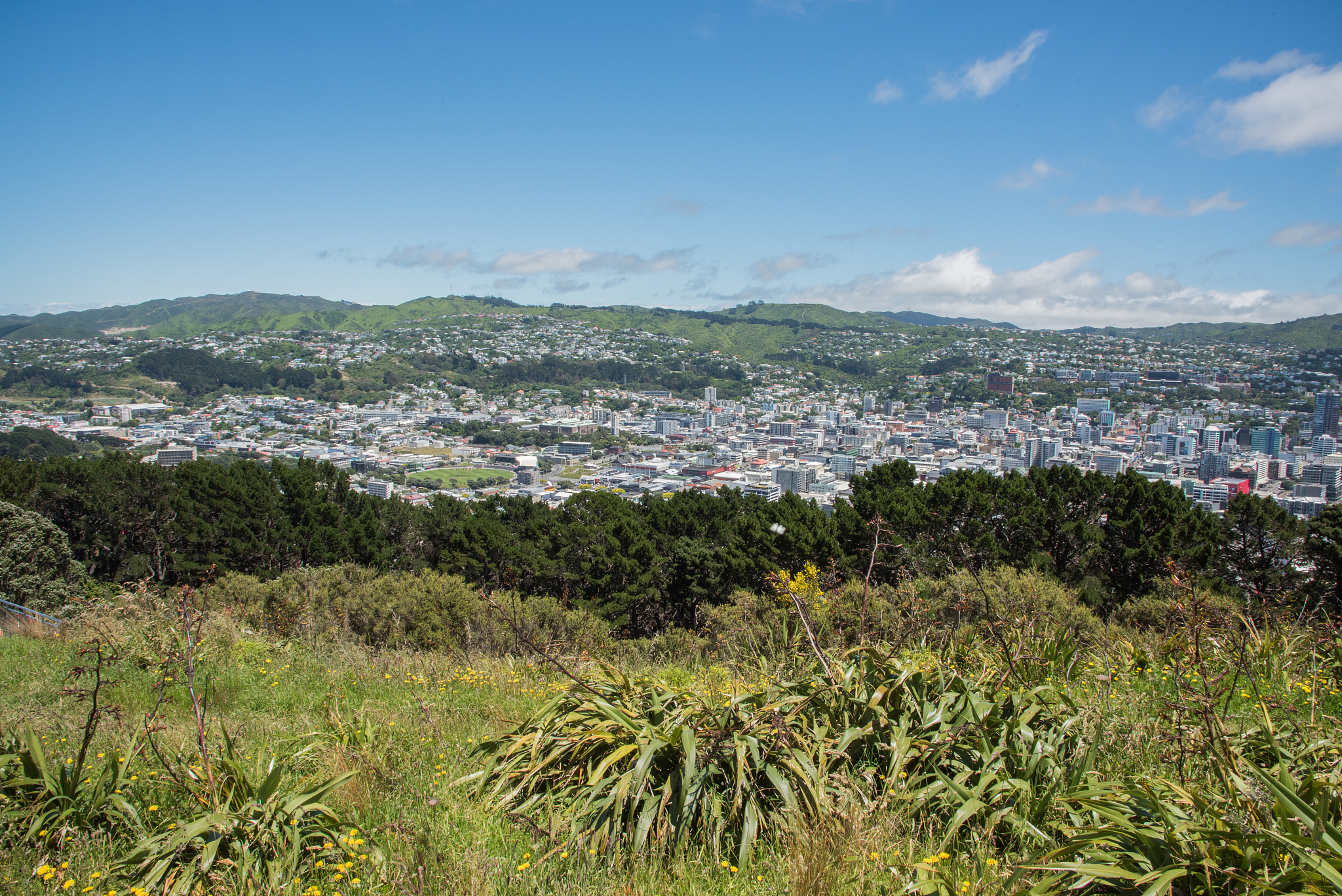 panoramic view of city and buildings against sky