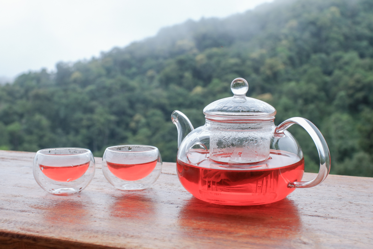 选茶杯指南：教你挑选适合你的茶杯