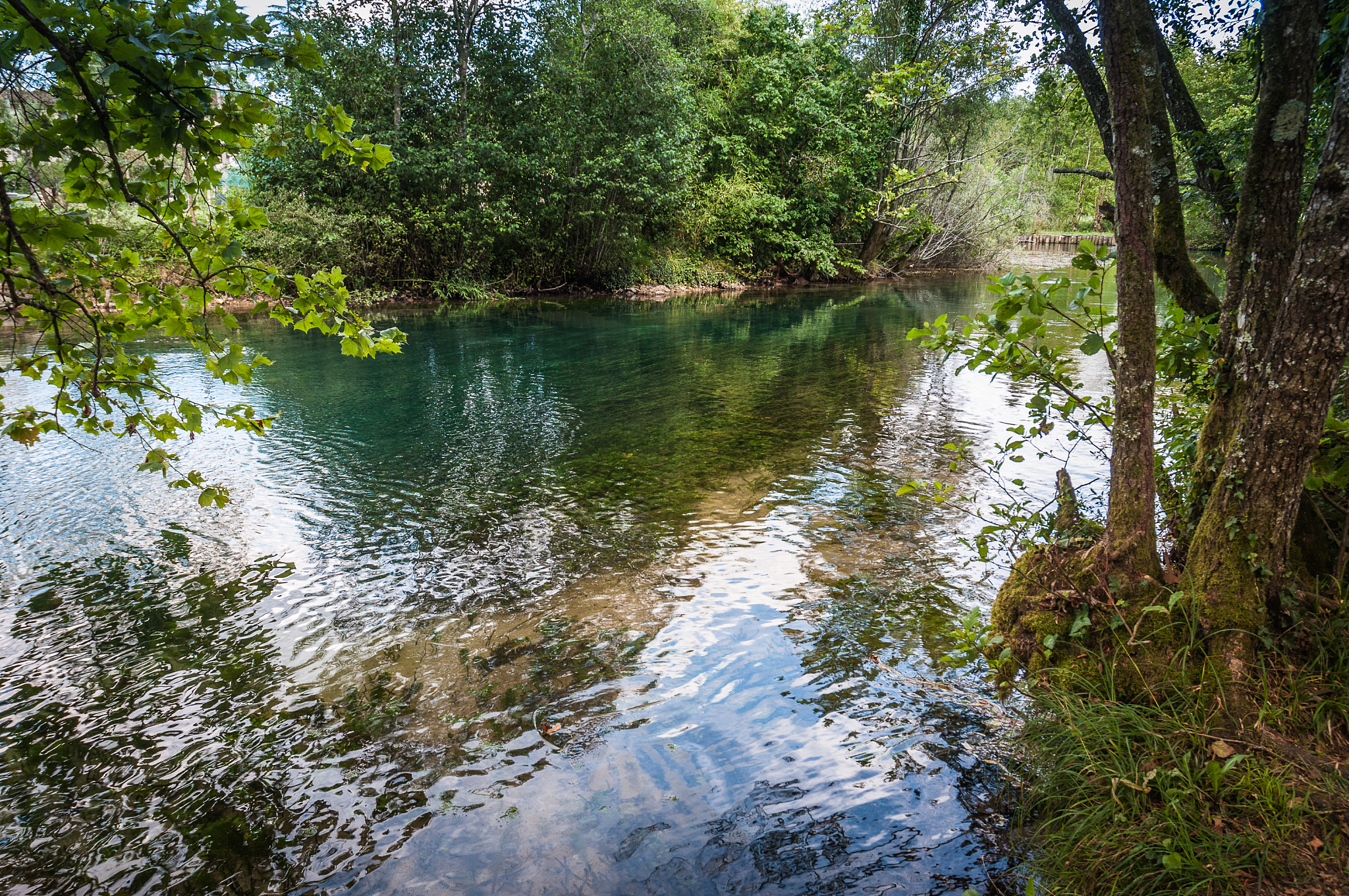 transparent and crystalline livenza river source waters, santiss