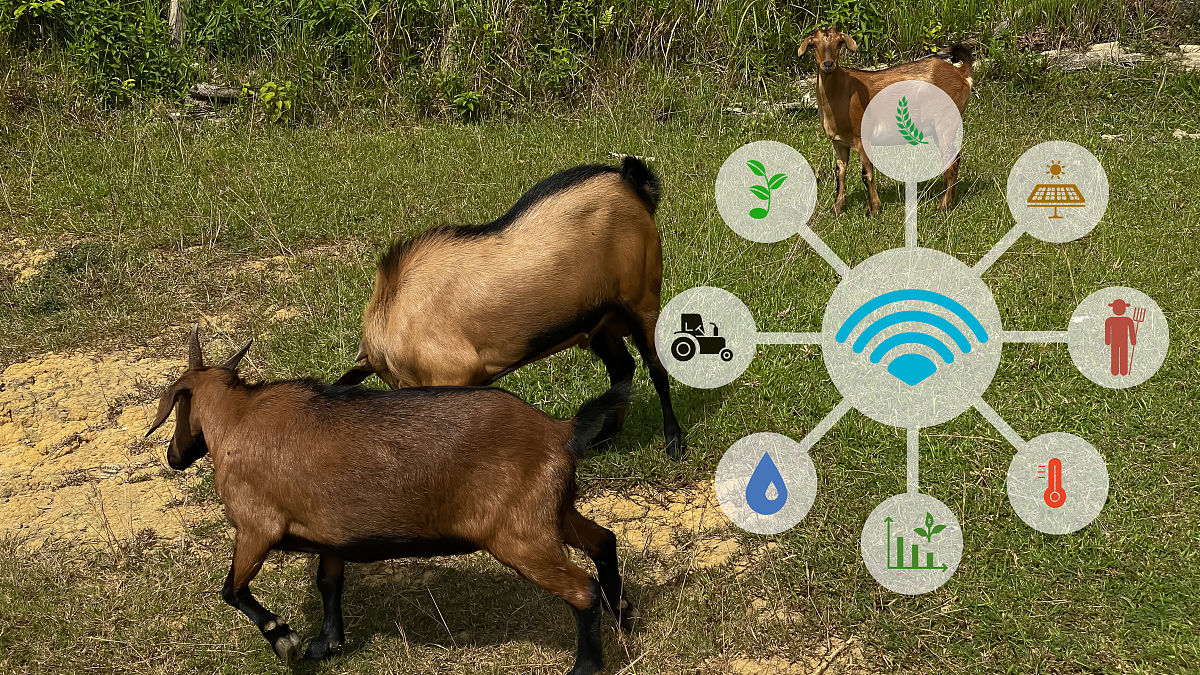 石家庄现代科技中等专业学校2021年招生专业：机电、信息技术、财经、文化艺术