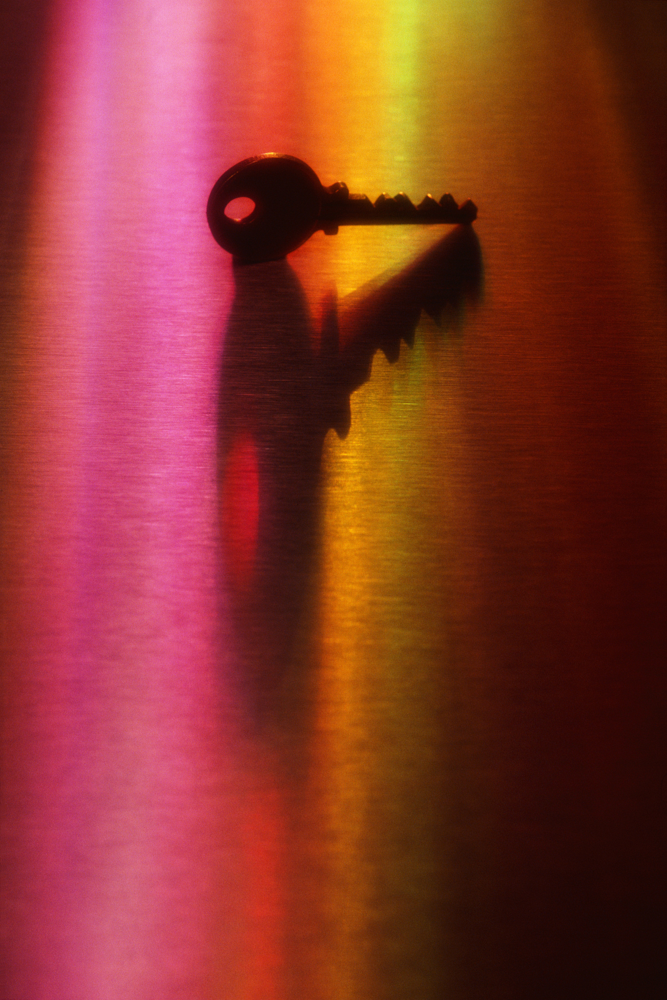 1200字关于摄影与心灵：如何通过摄影表达内心情感