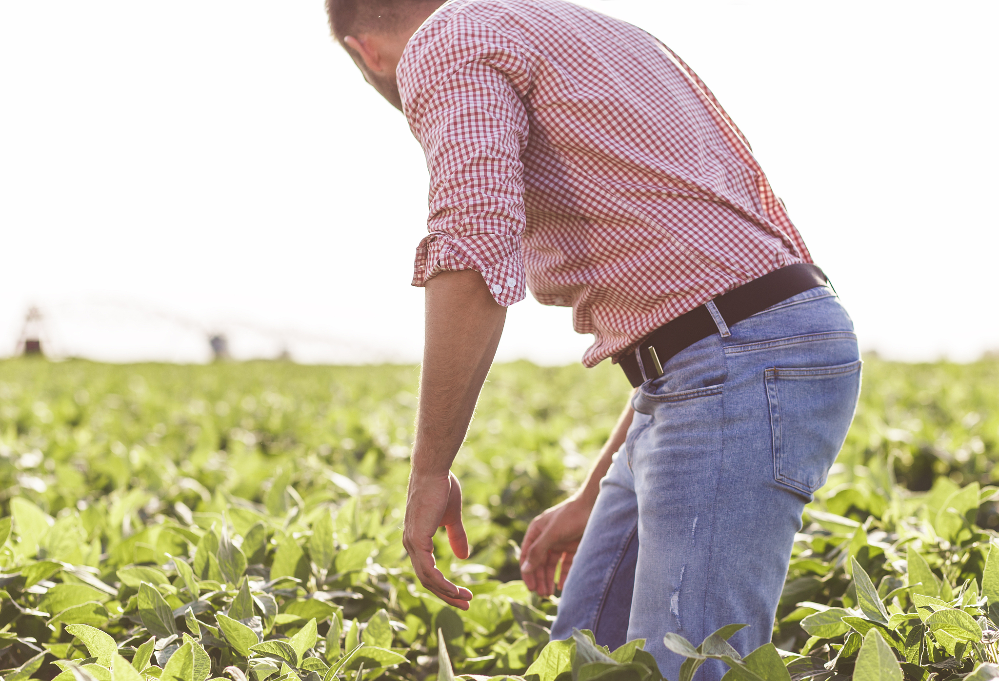 农资连锁经营与管理专业就业前景怎么样？未来发展方向有哪些？