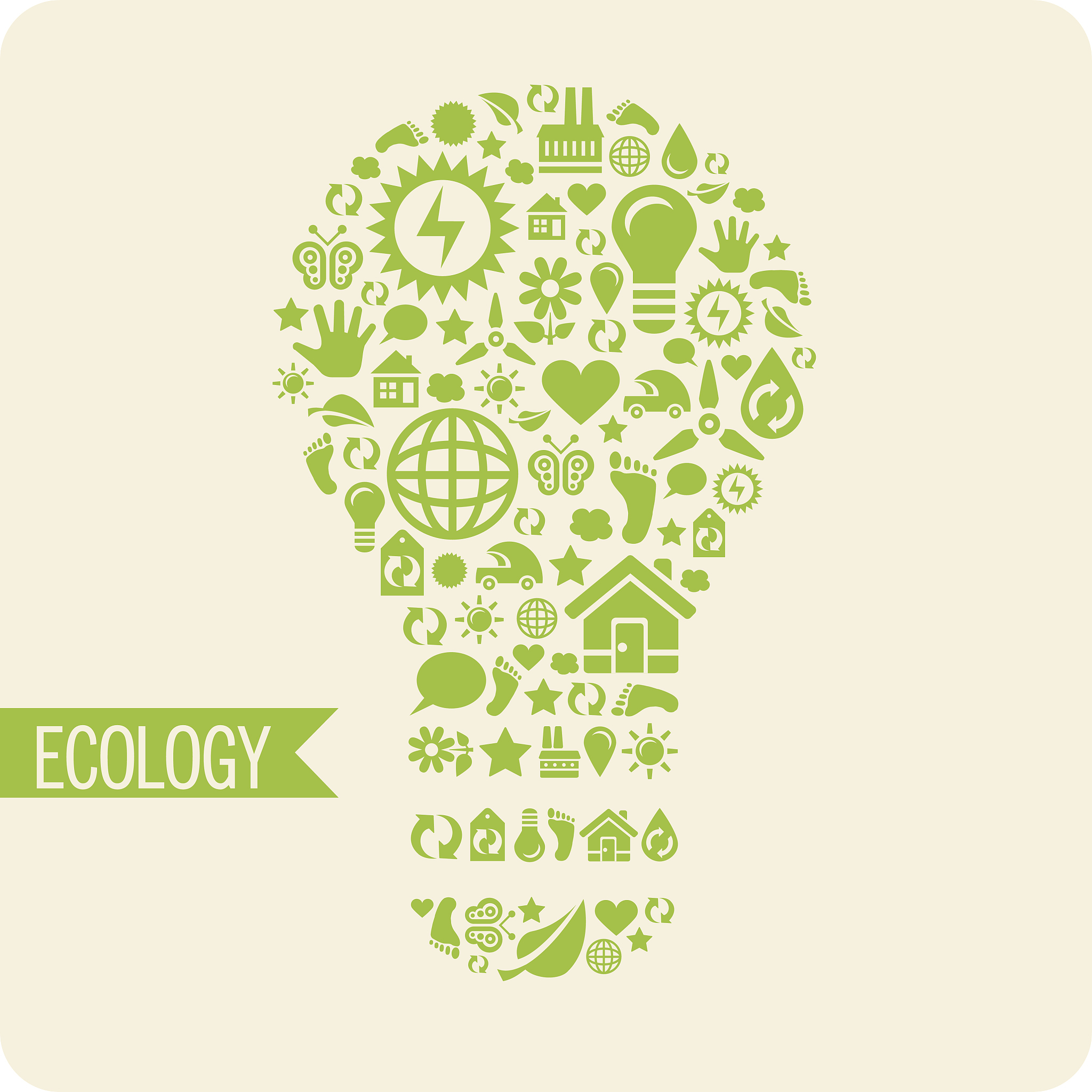 green eco light bulb