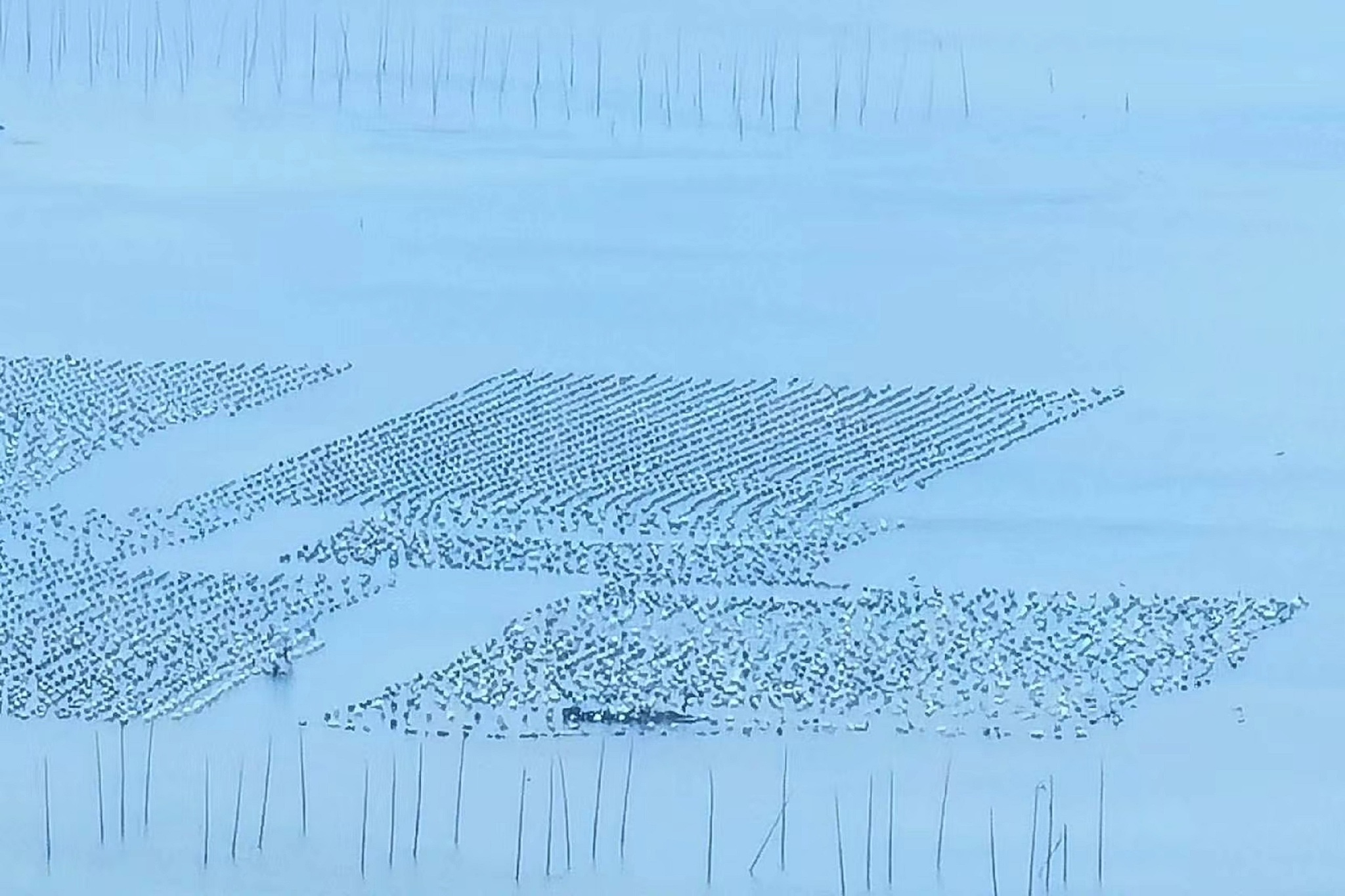 宁德拖欠工资求助电话是多少｜宁德拖欠工资投诉平台 要求：创建一篇1500至2000字的解决方案