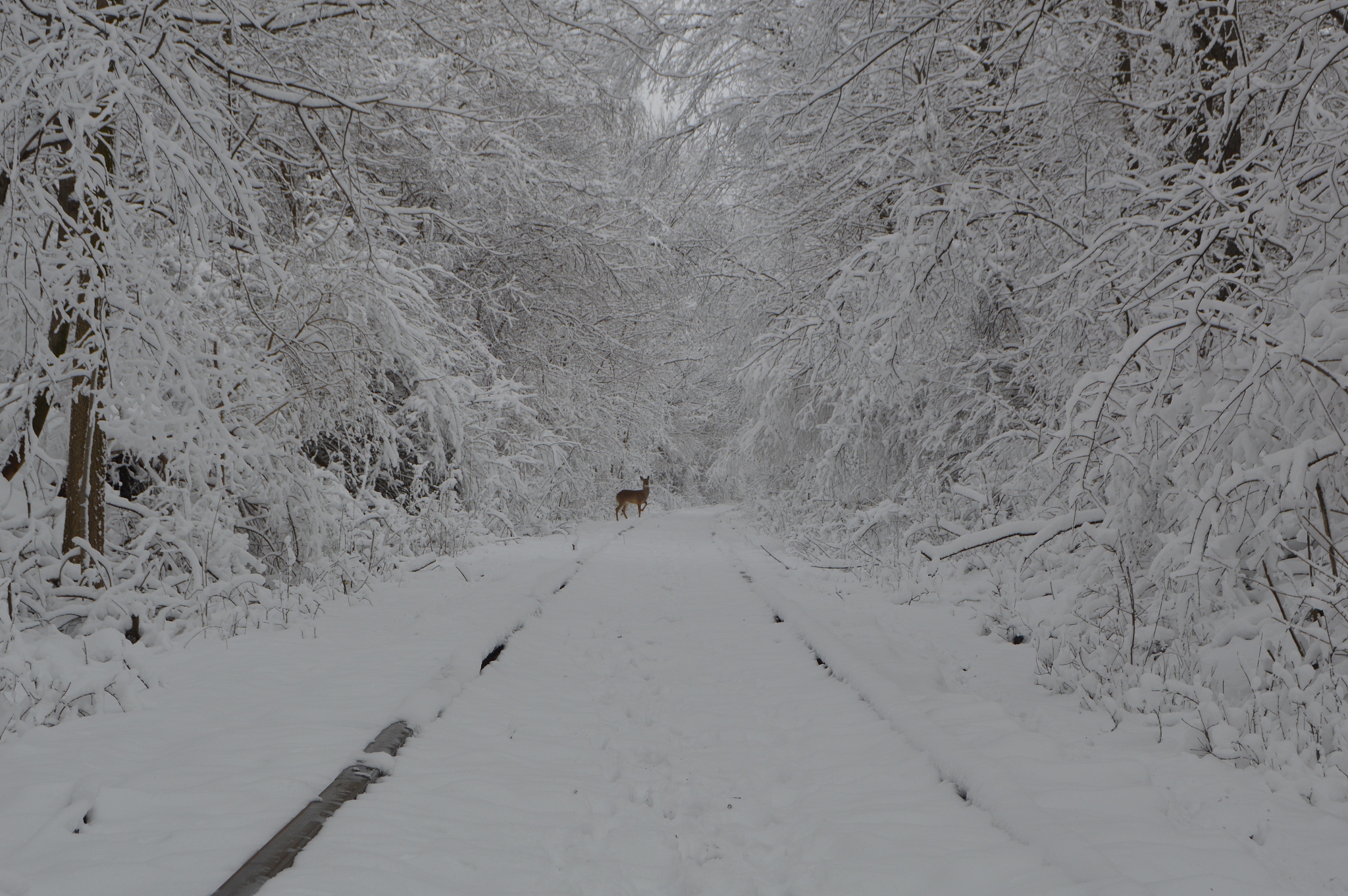 甘肃2023年在铁路学校学什么专业好