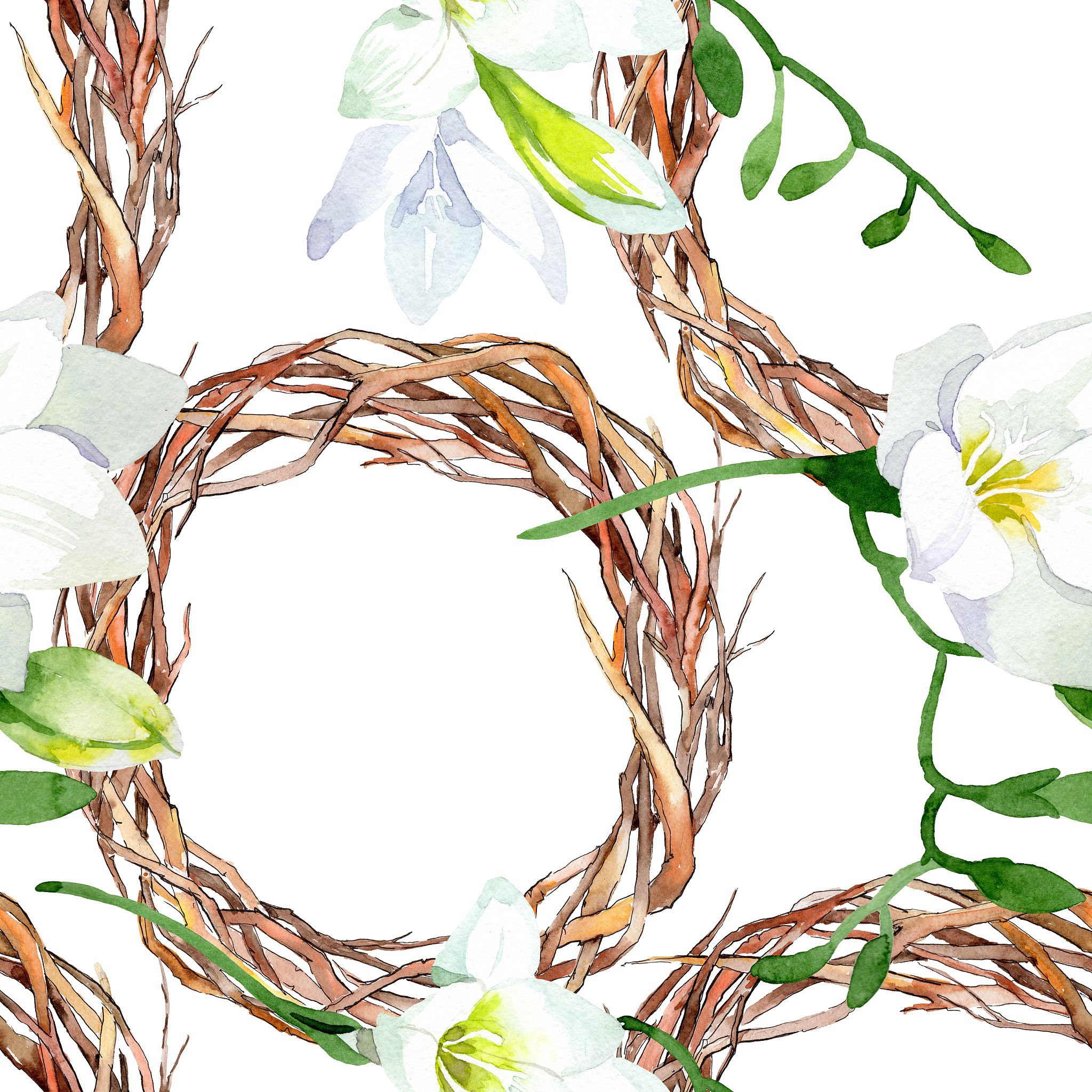 white freesia floral botanical flowers. watercolor background il