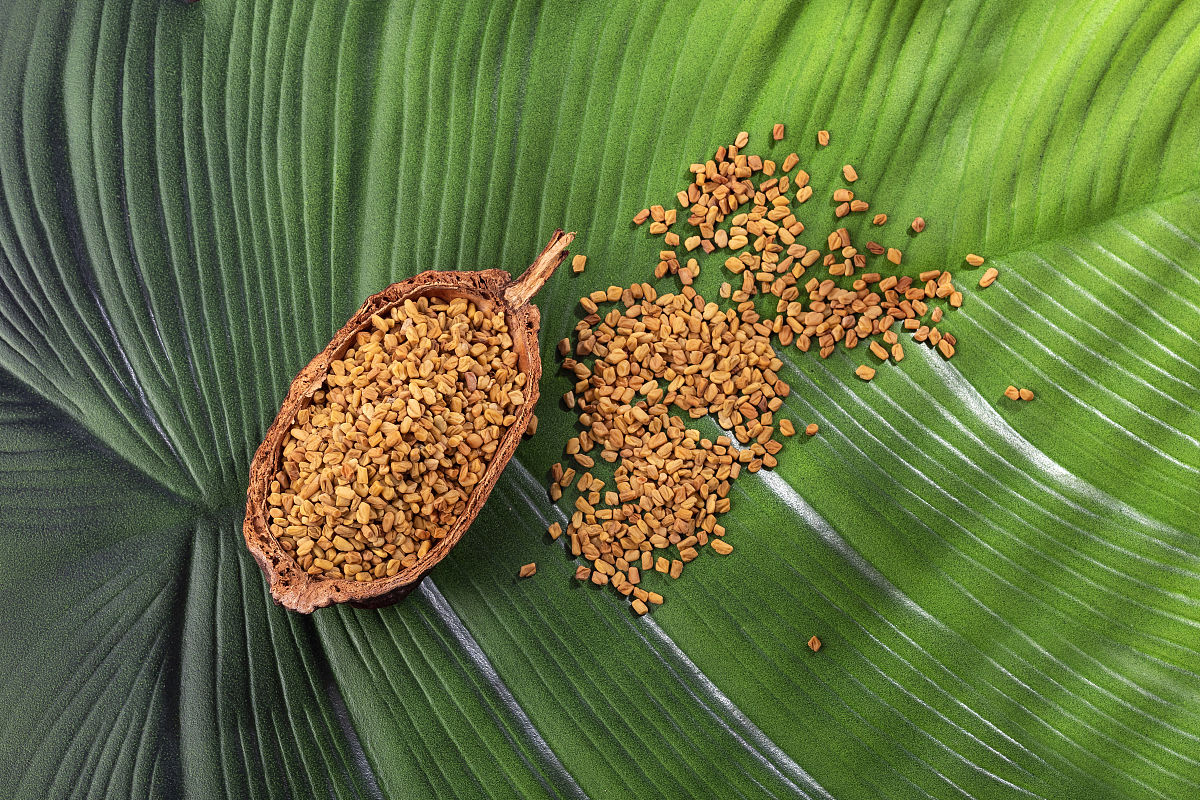 基于市场营销策略的子洲县富发农业科技有限公司黄芪产品发展研究