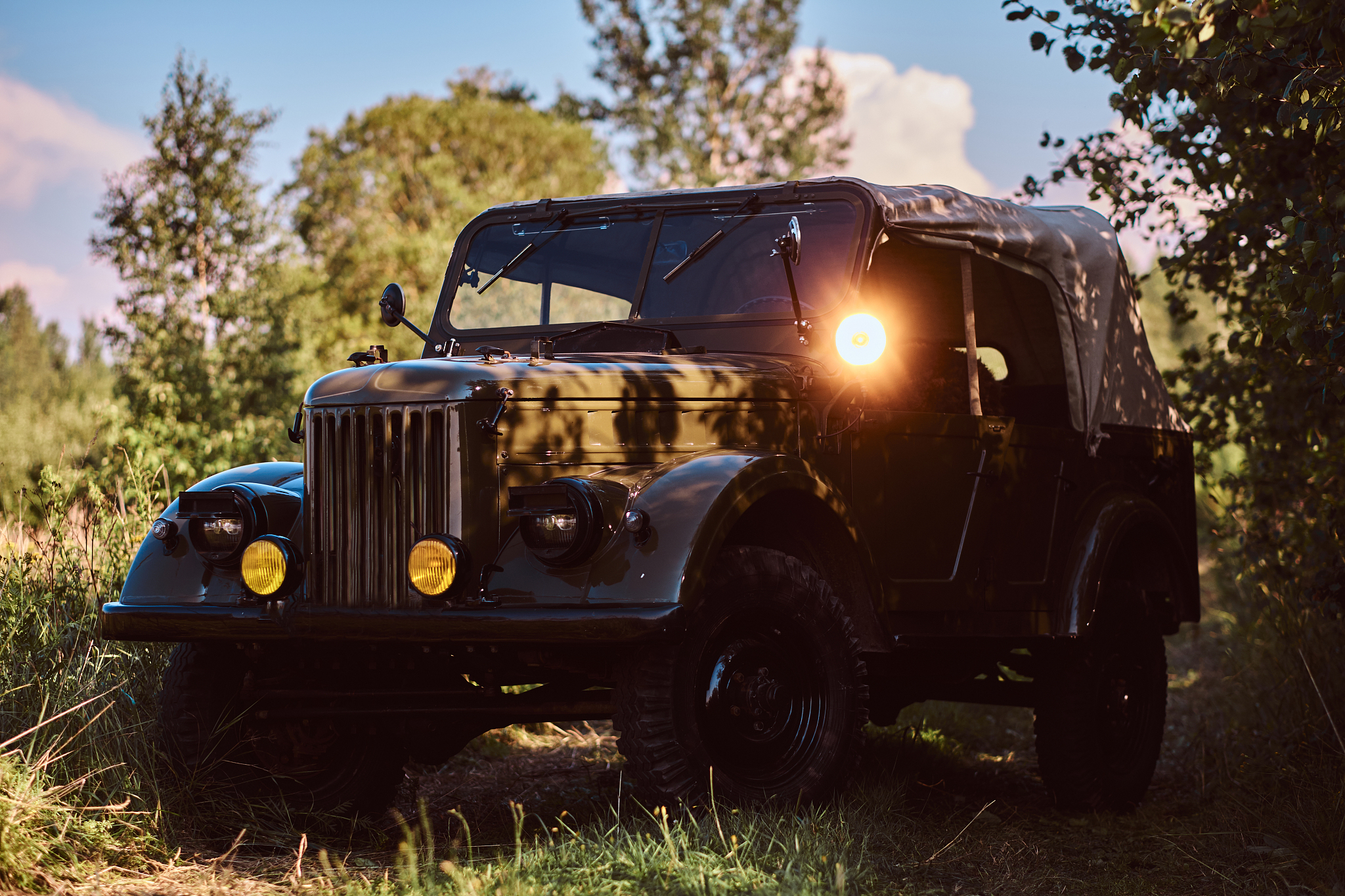 retro military car in the steppe forest on the sunny day.