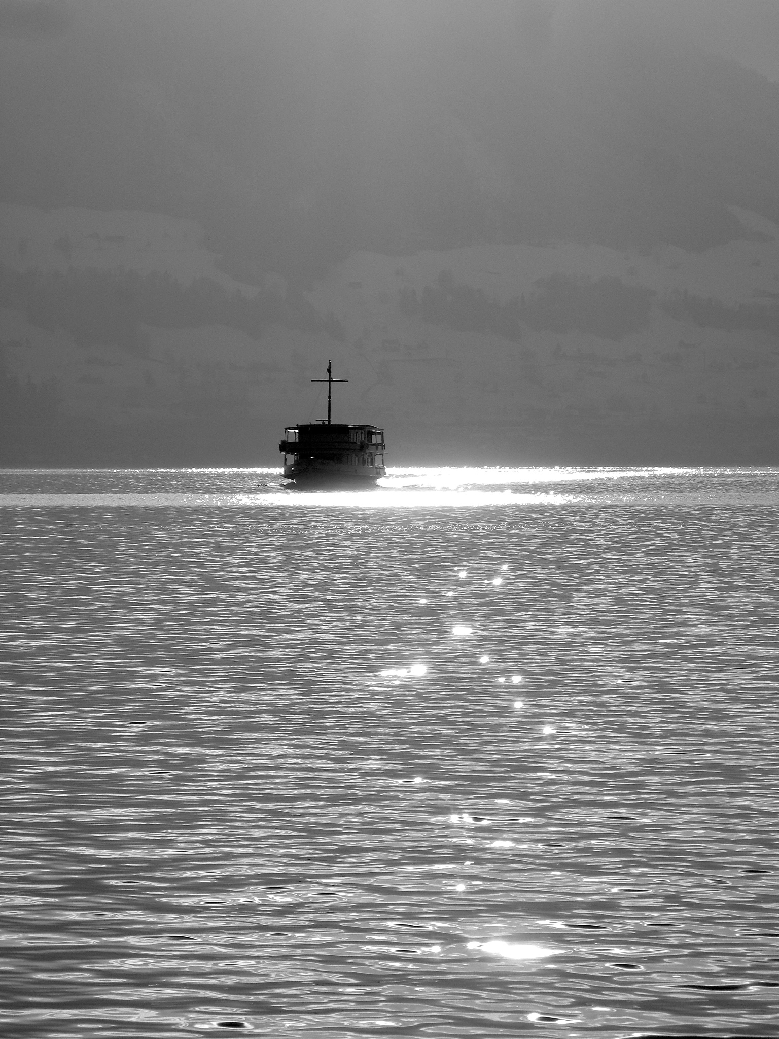 《海狼》中的Van Weyden做过什么事情