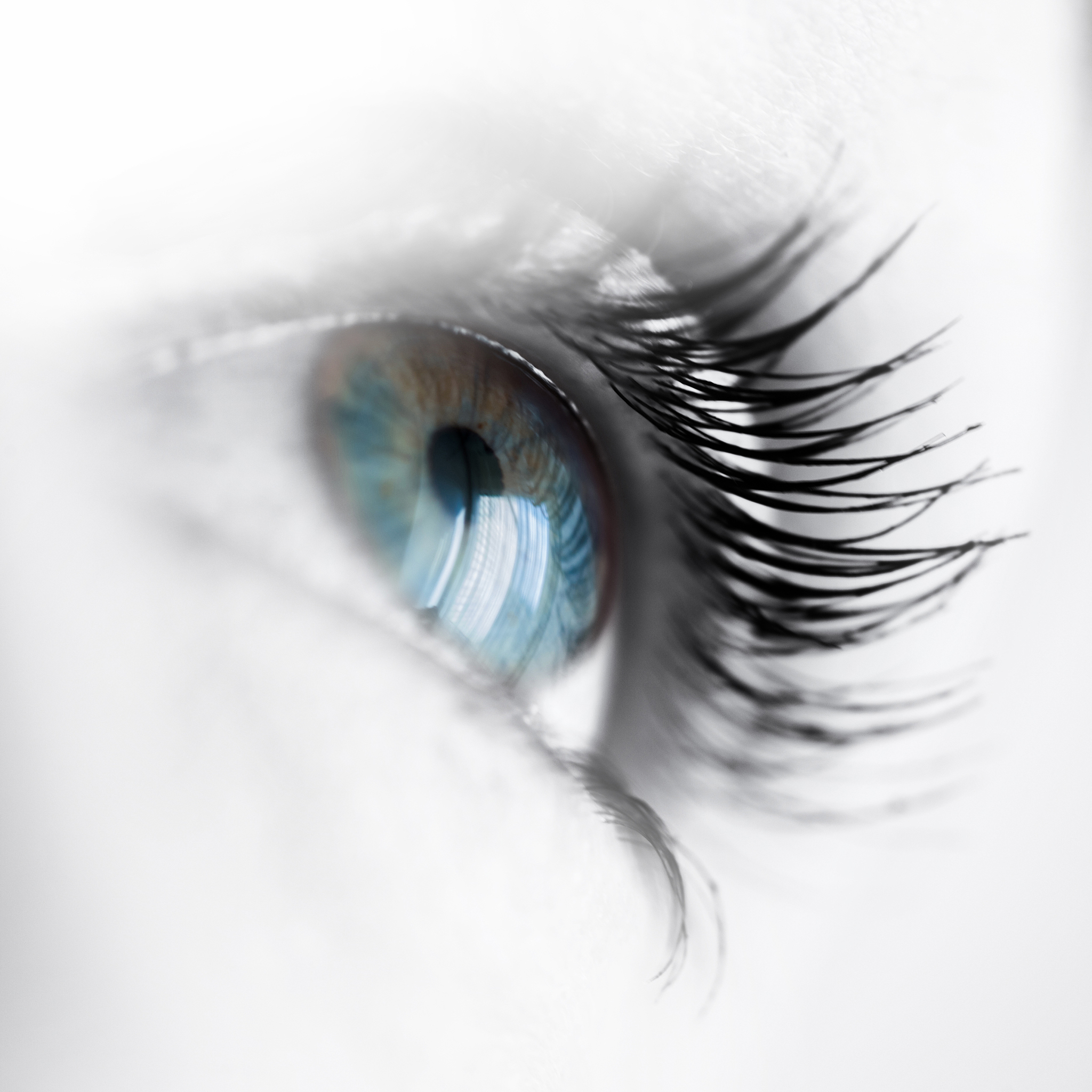 beautiful eye color in macro