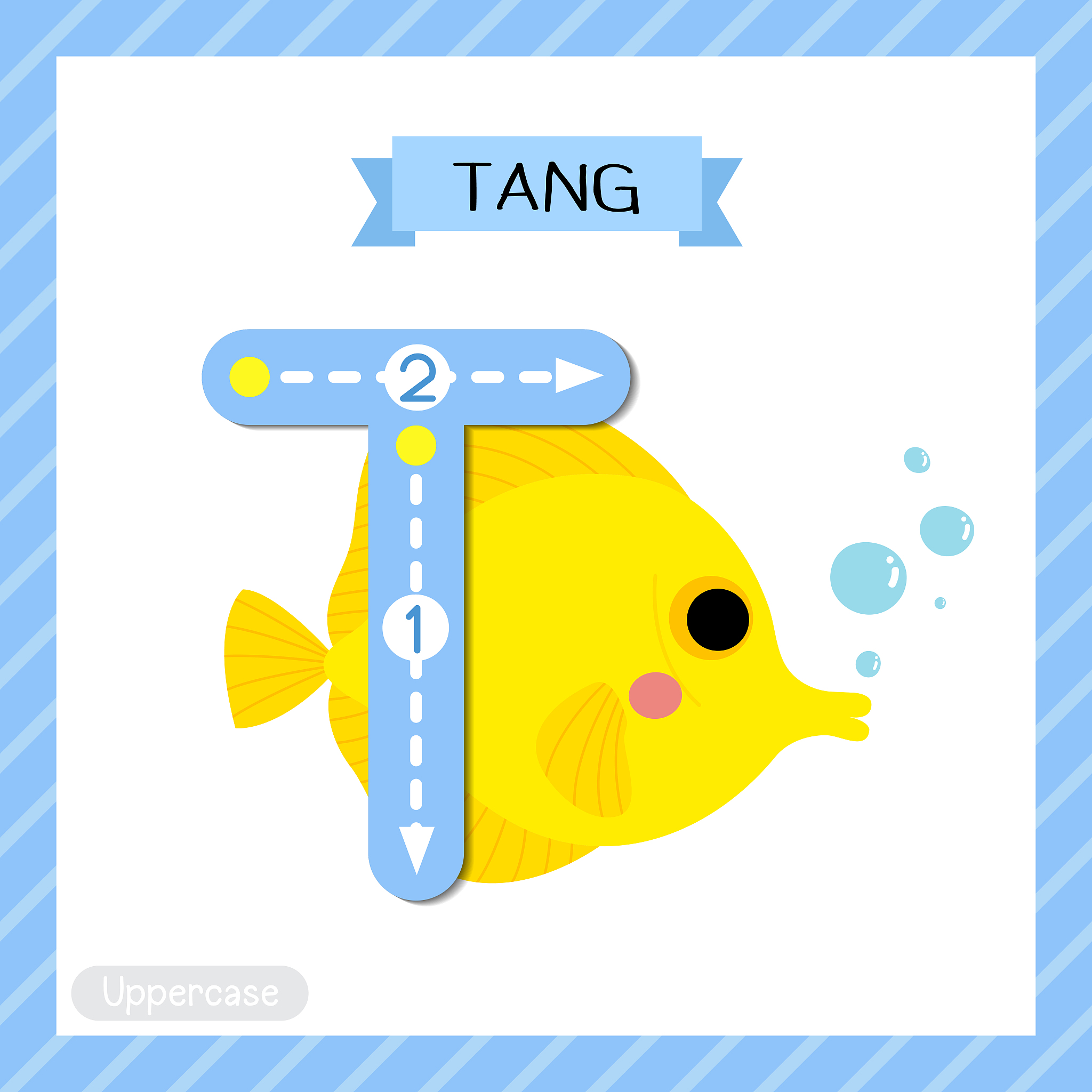 用字母 'T' 和 'T' 能组成哪些单词？