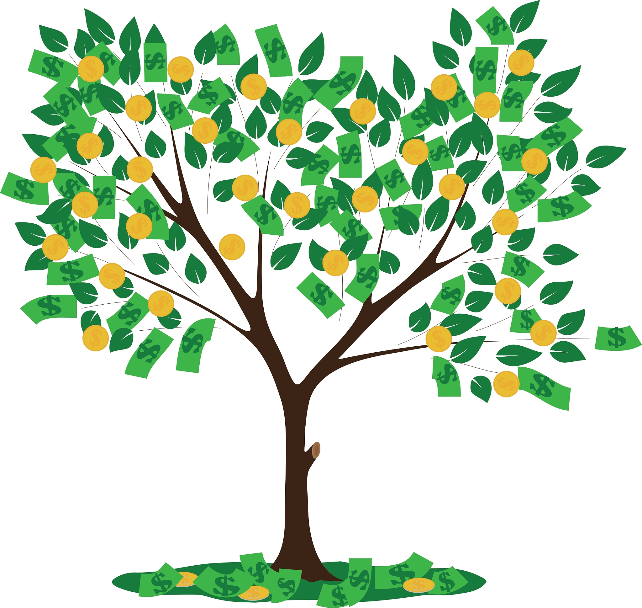money tree