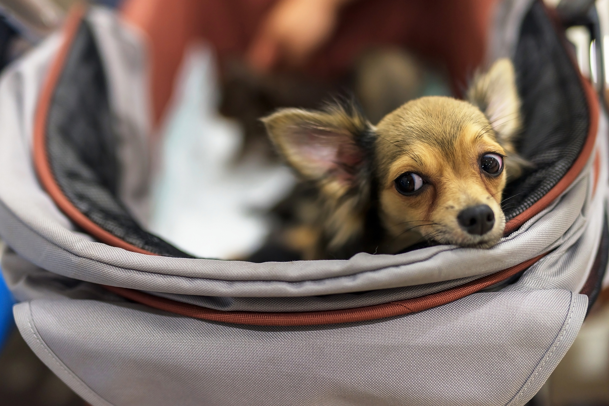 外卖评价情感分类