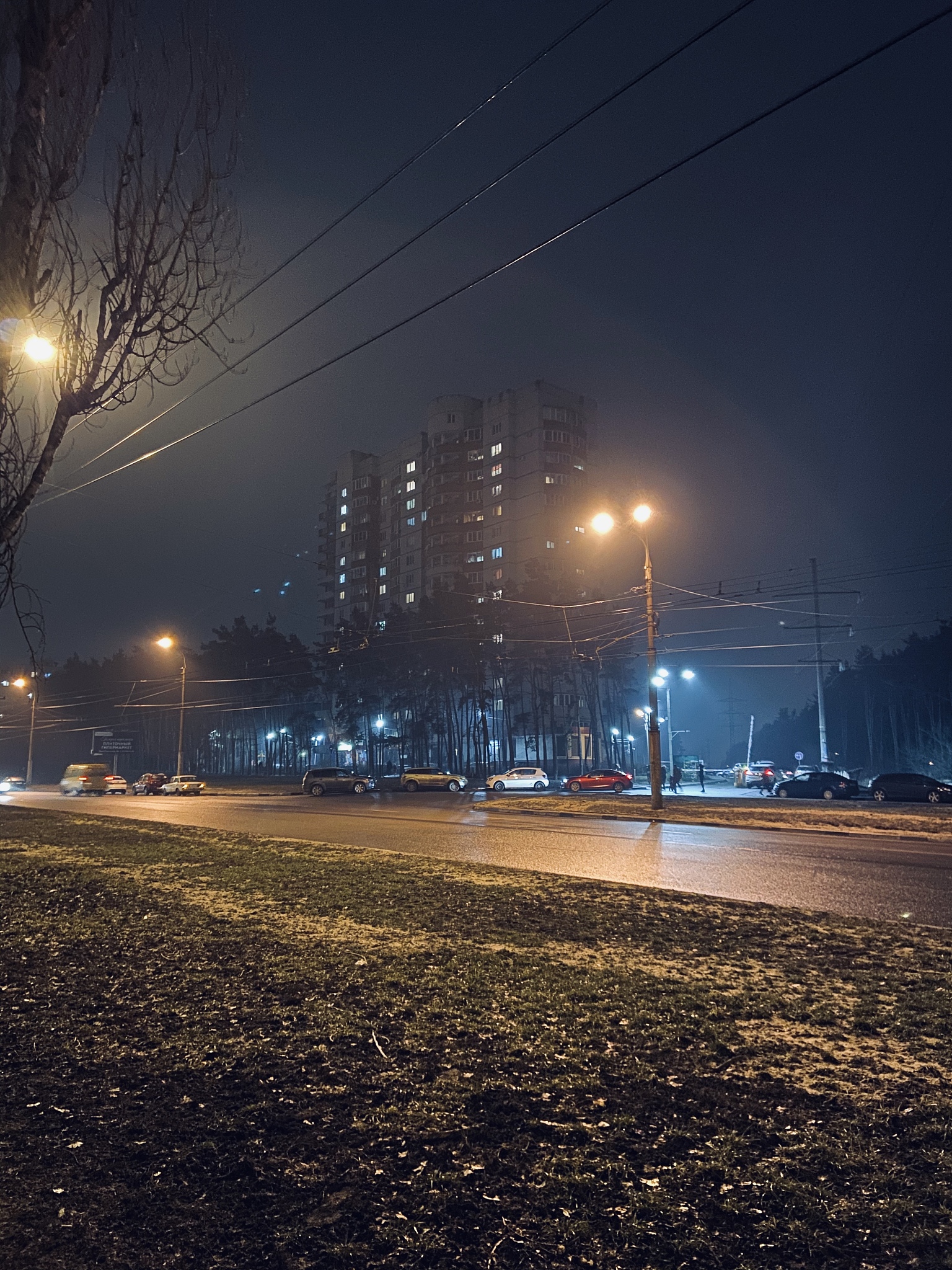 又是一个美好的夜晚下一句怎样说？请详细描述一下。