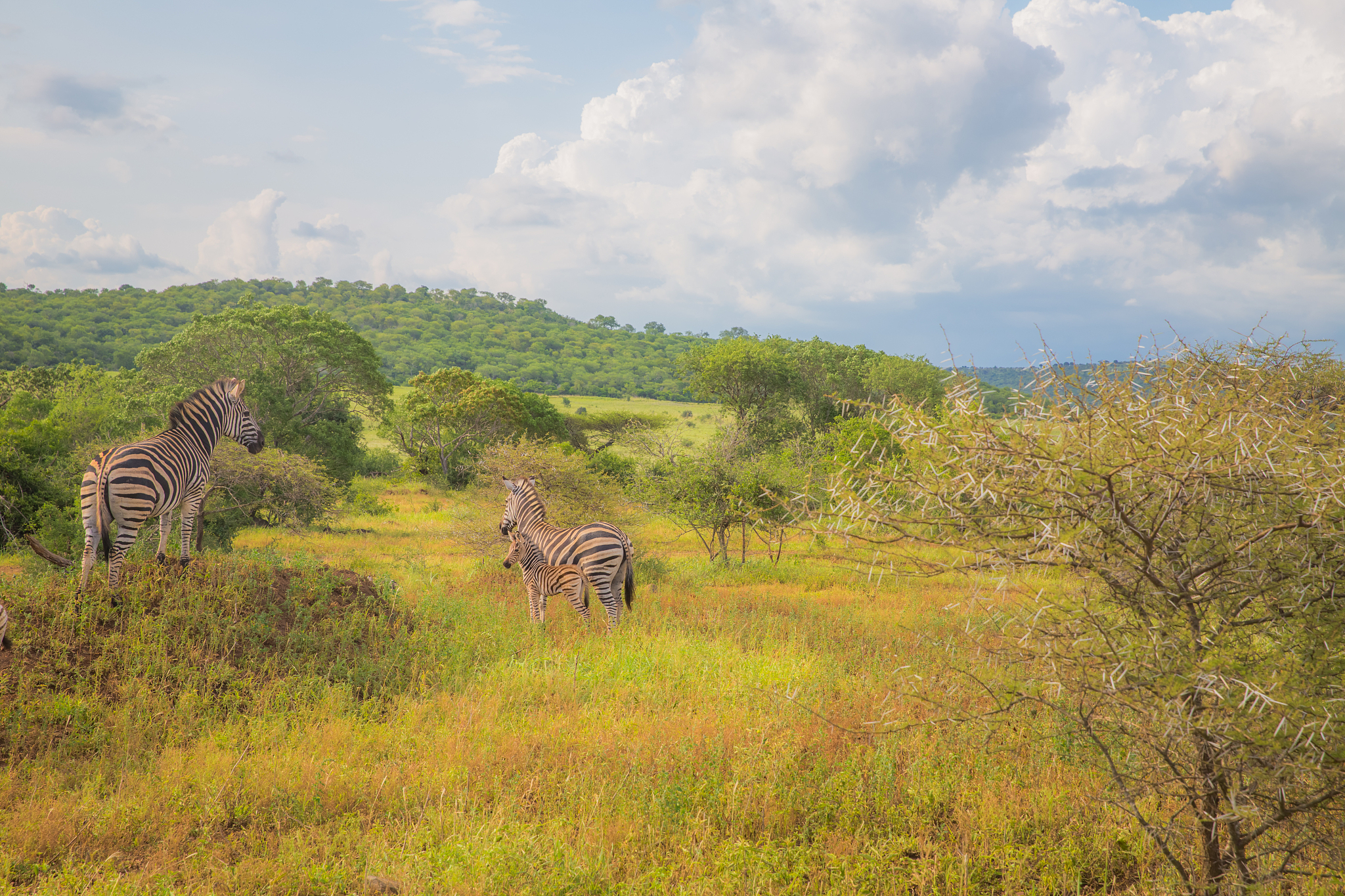 african landscapes