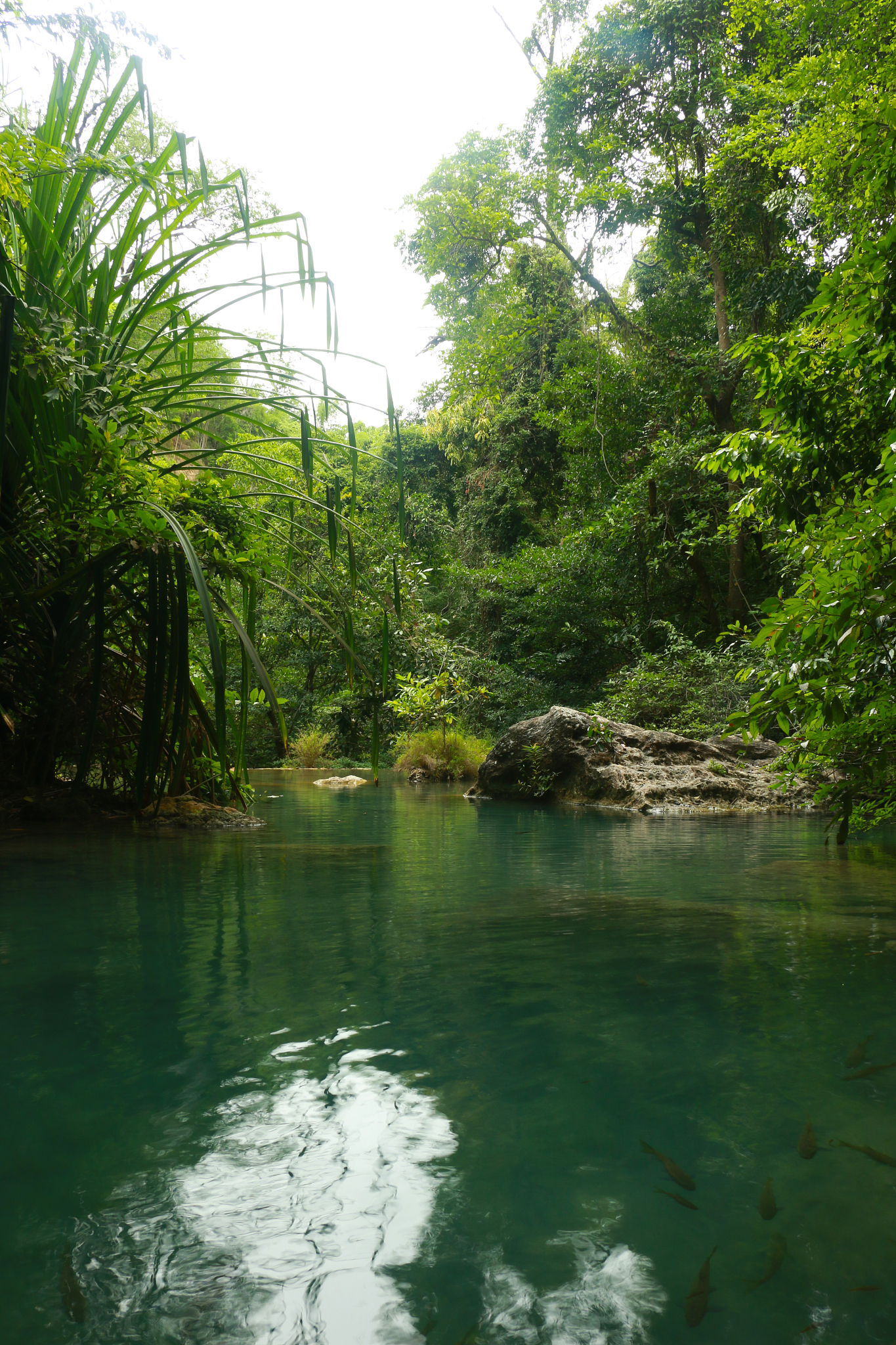waterfall