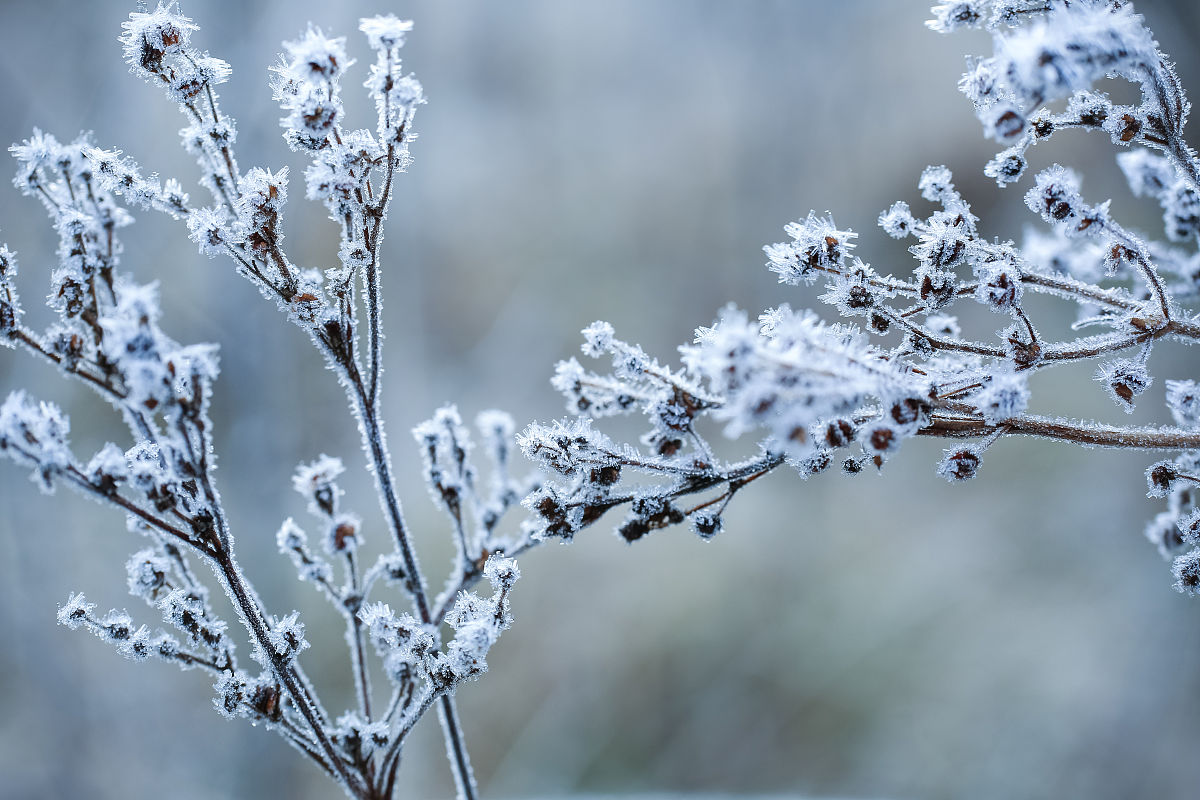 宛若霜雪般洁白，细腻如霜上雪的吻