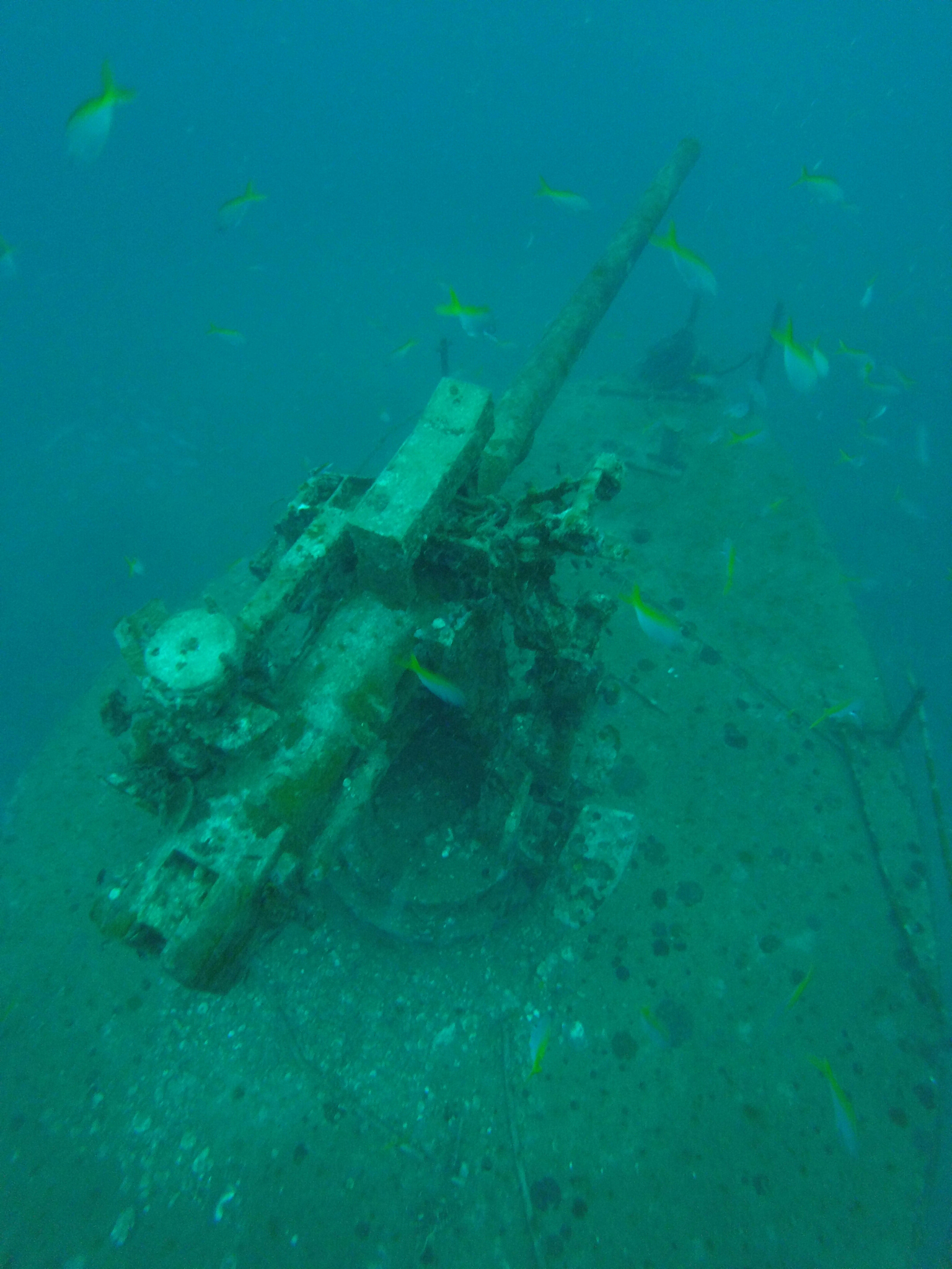 summer underwater