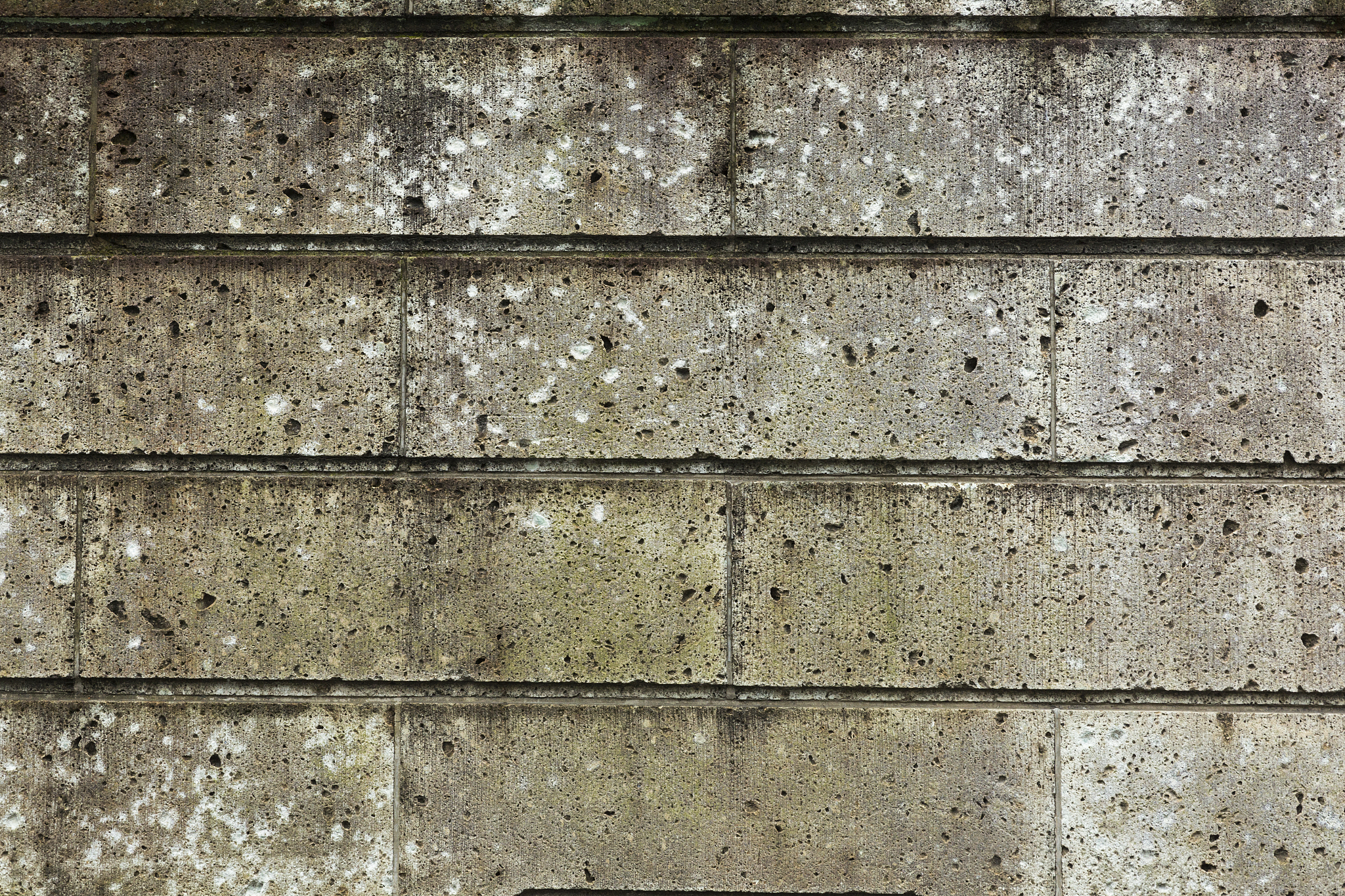 六安市工业学校2021年有哪些招生专业