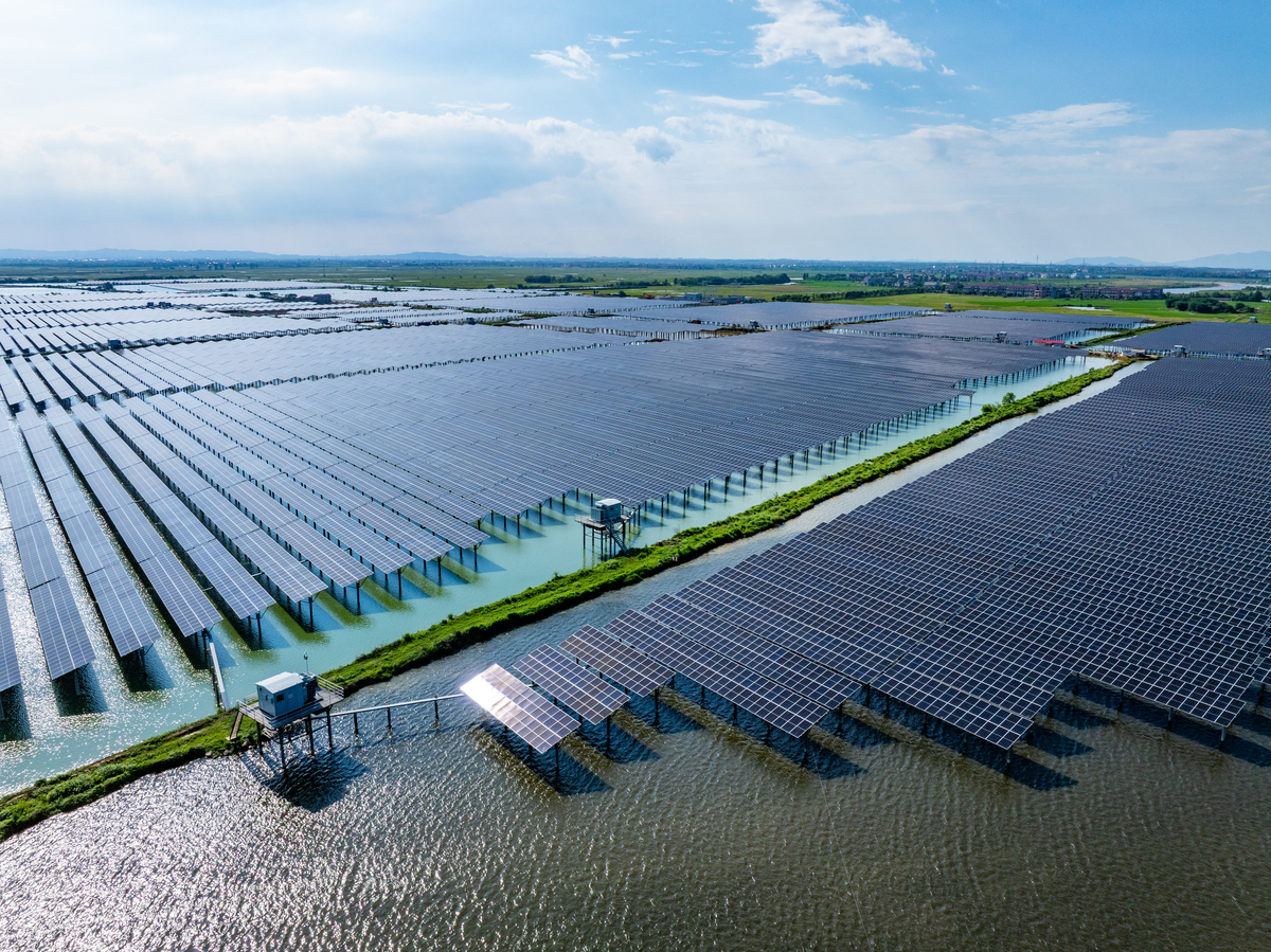 四个国家阳光工厂化水产养殖实例及养殖鱼类