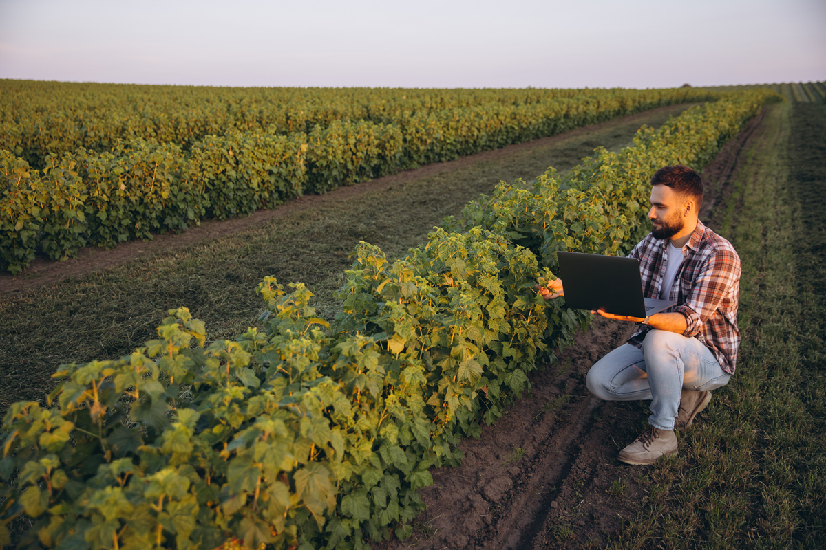 黑龙江农垦机械化学校中草药种植技术专业介绍