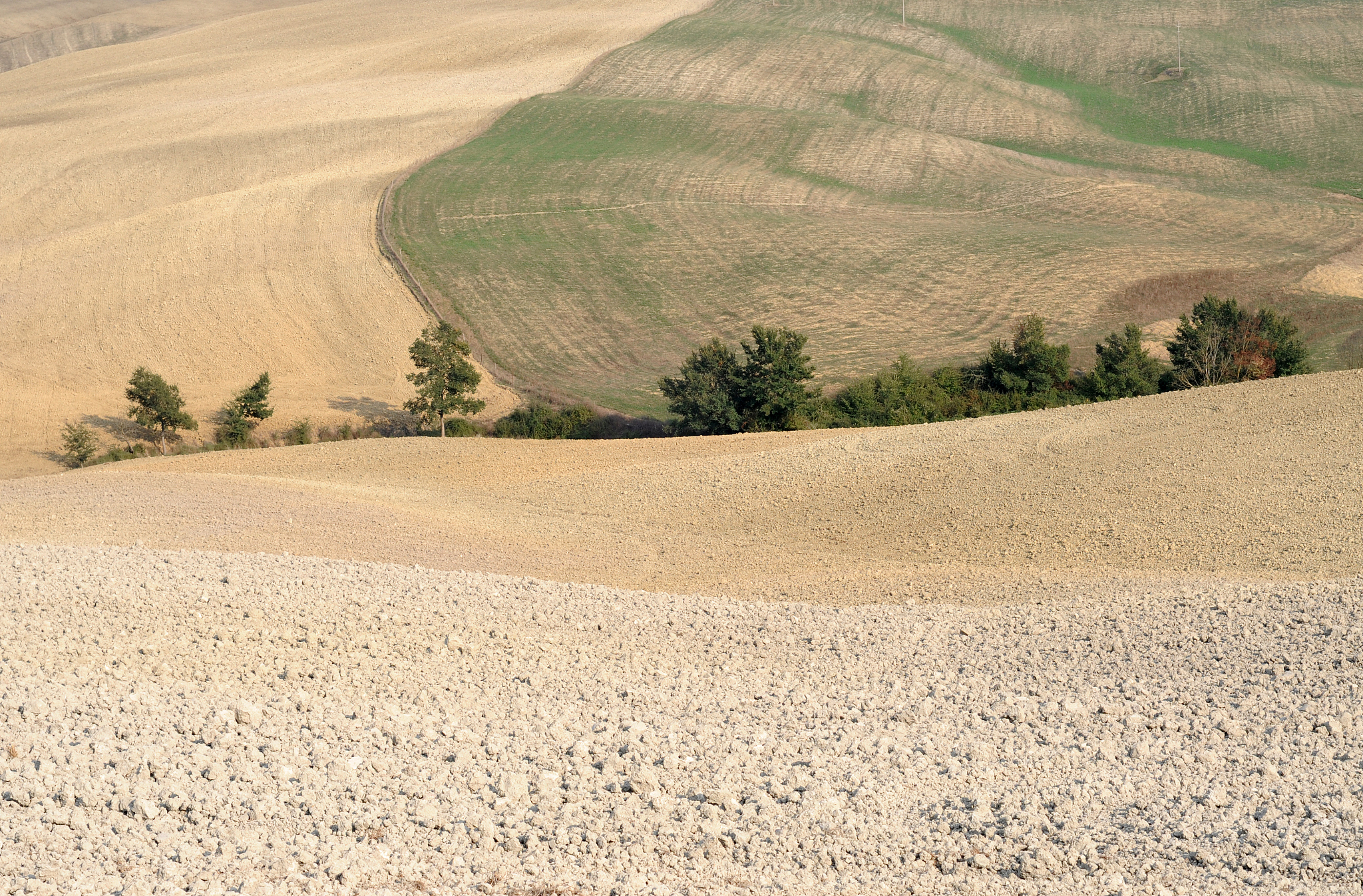 undulating fields in tuscany