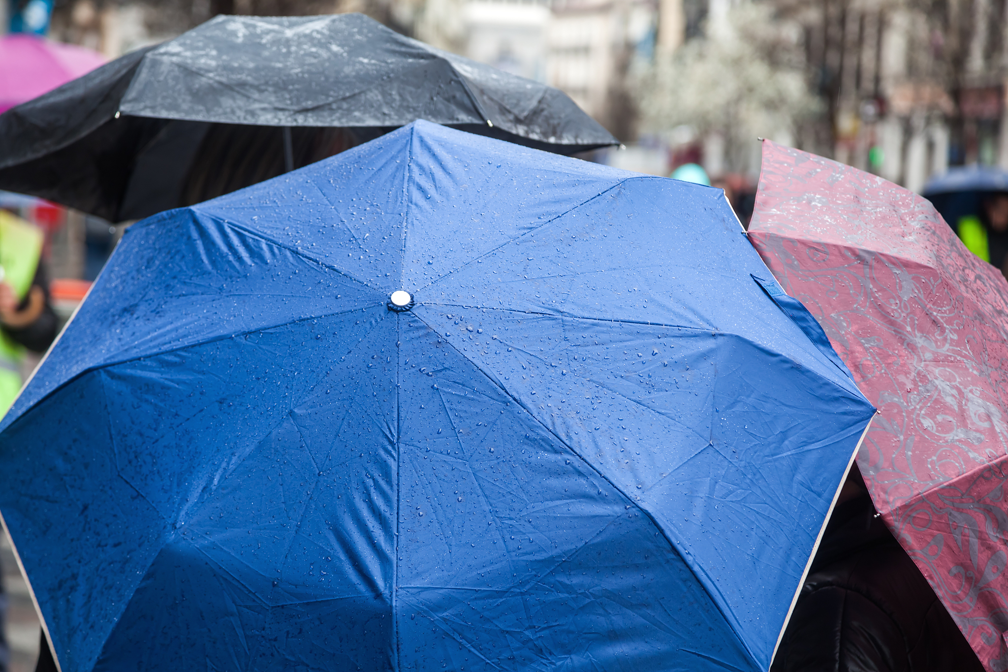 people with rain umbrellas in the city