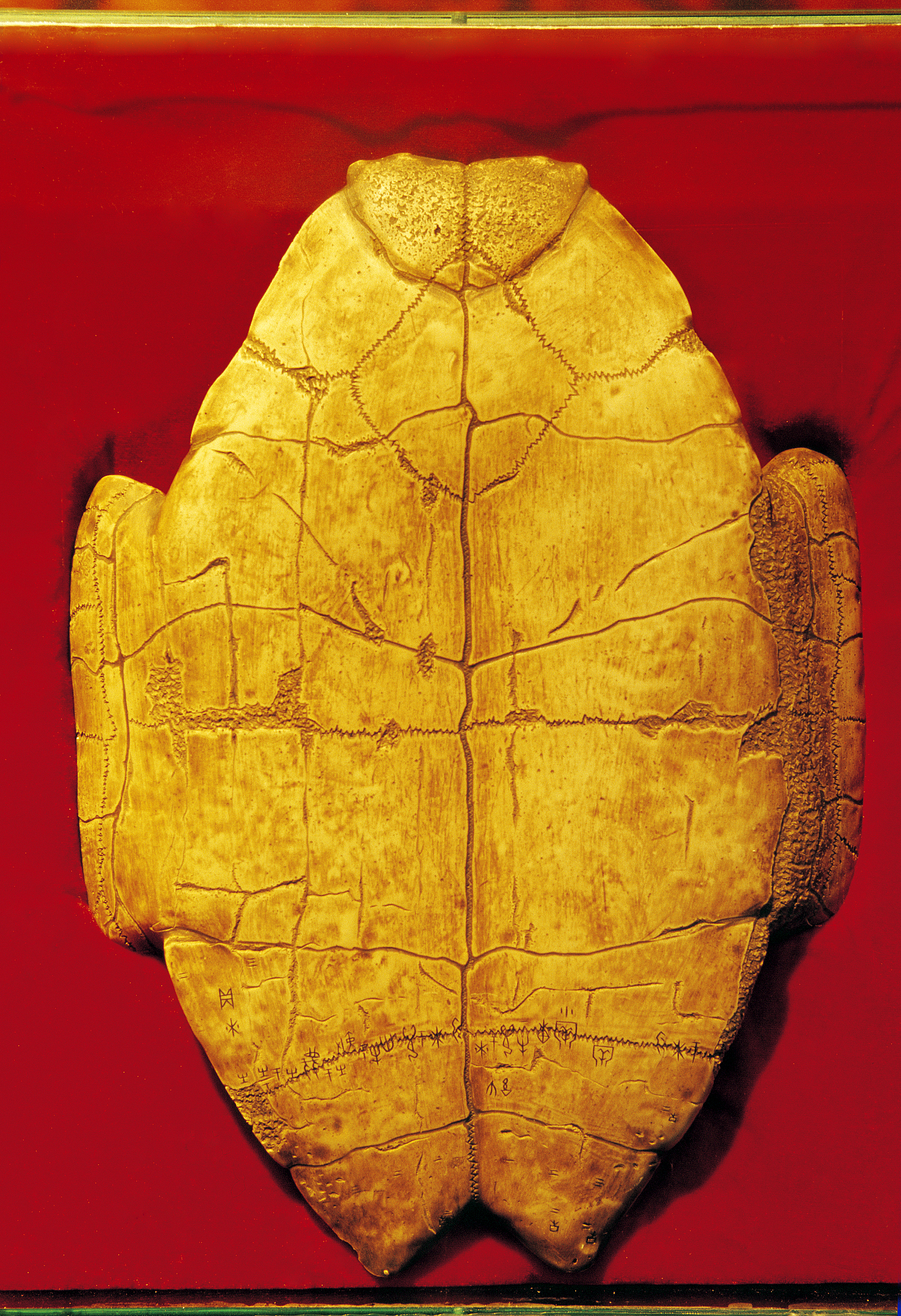 假如我在保研面试老师问我：谈谈你的家乡。我的回答是我的家乡是安阳河南省一个古老的城市。安阳有3000多年的历史曾是八朝古都。它有中国最早的文字甲骨文抗金名将岳飞也出生在这里。我最喜欢吃安阳特产扁粉菜他让我垂涎欲滴。随着近些年来的发展安阳的建设也越来越好。最后我希望你能有机会去参观。请优化我的回答并将优化后的回答翻译为英文。