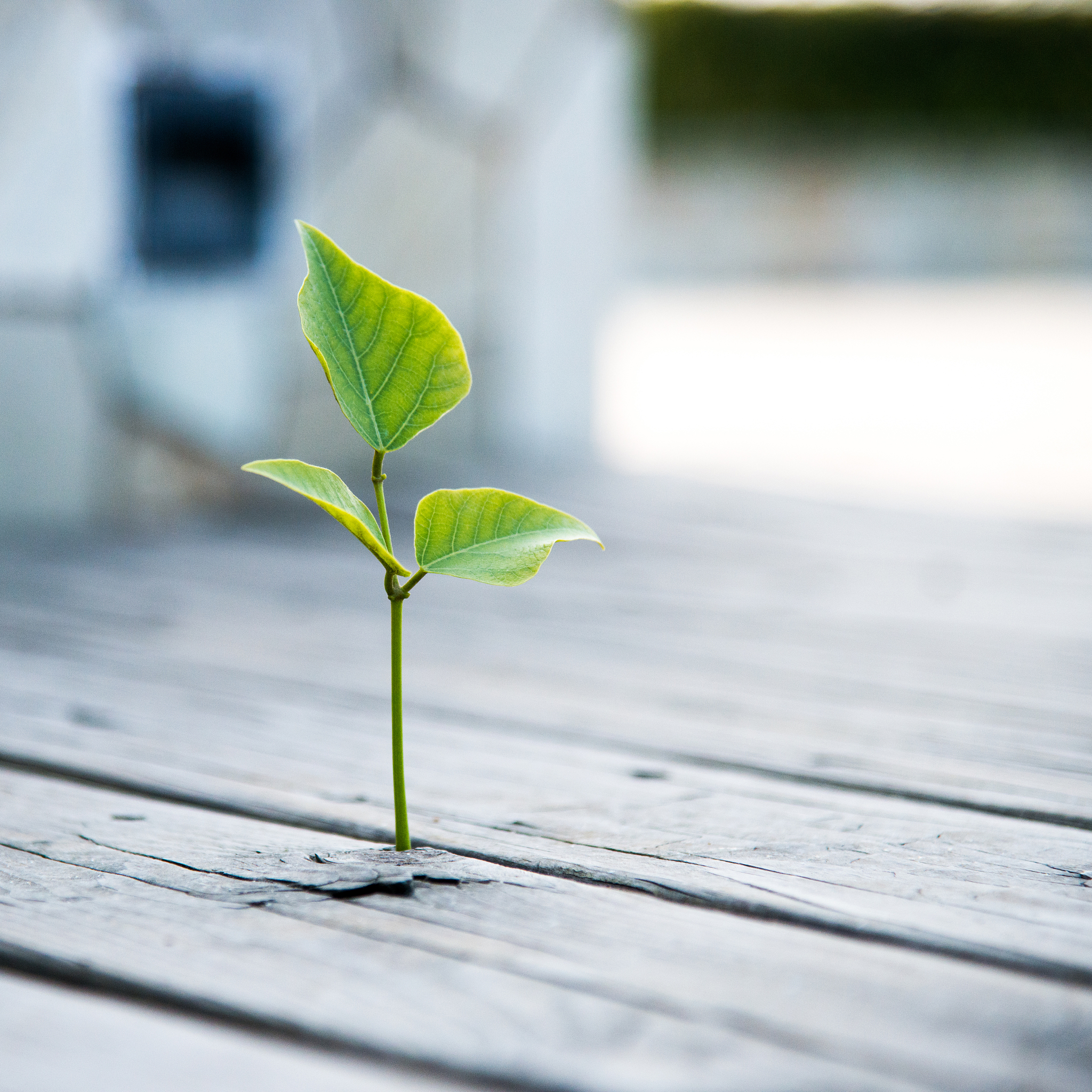 生命意义的追求：如何理解‘意义在生活之上’？