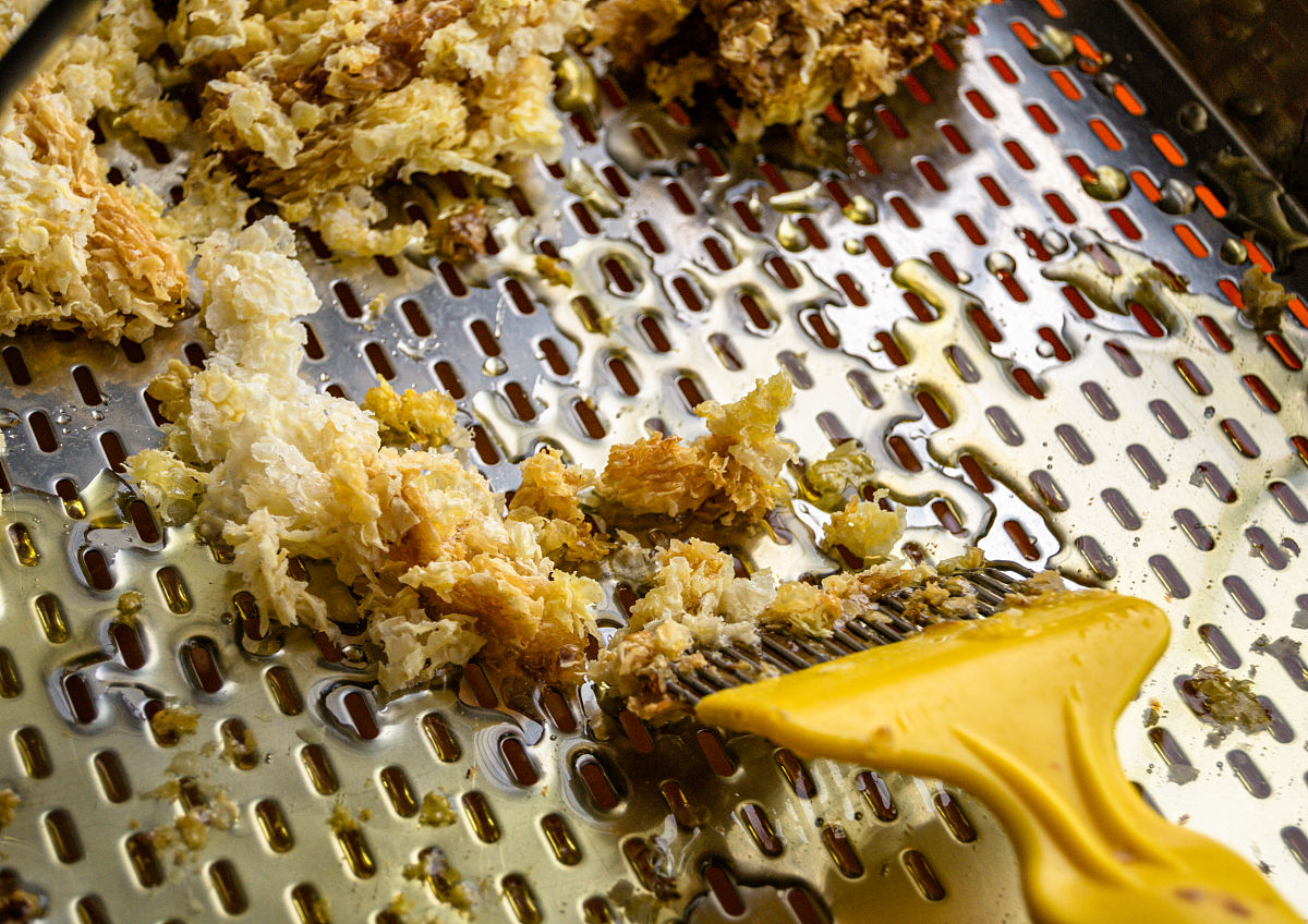 给我一个关于野生蜂蜜种类的2分钟短视频文案