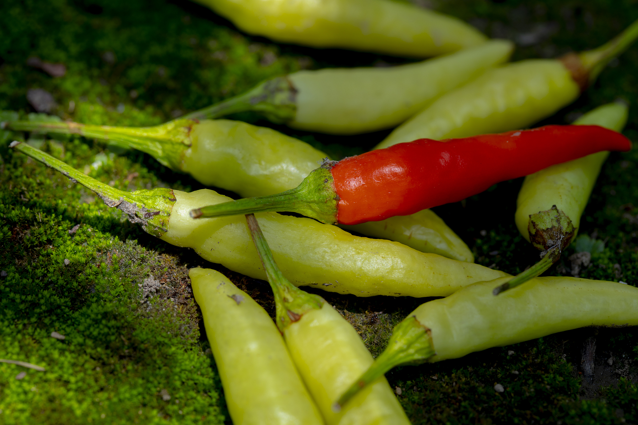 云南省轻工业学校2022年三年制普通中专招生简章