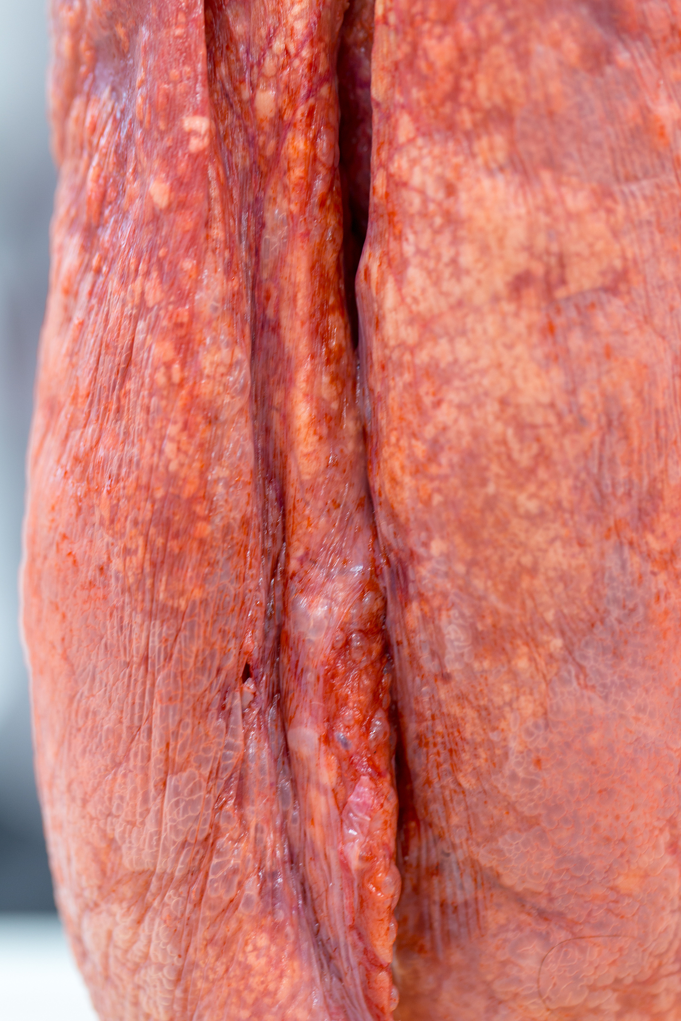 肺泡：人体气体交换的核心单位