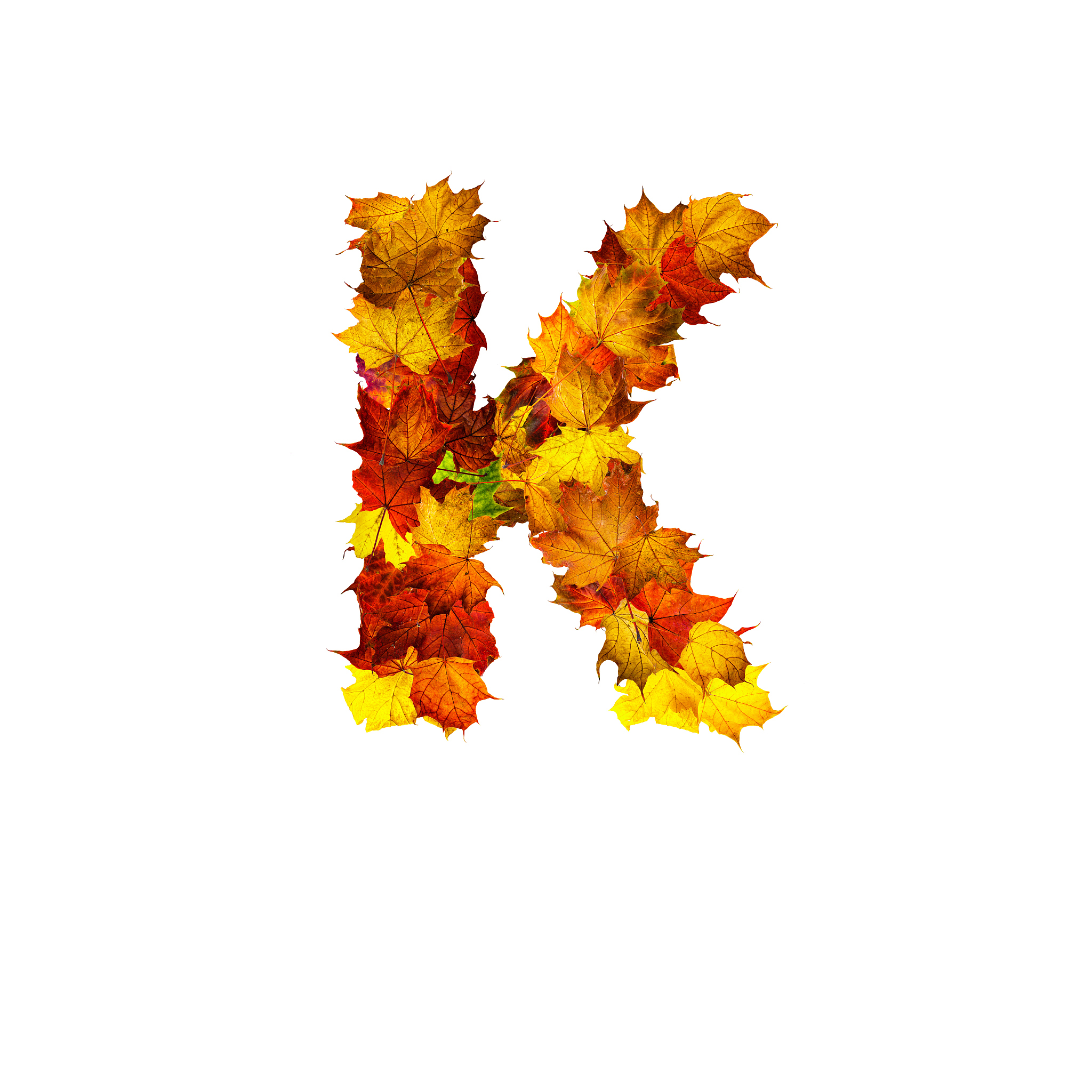 英文字母<strong>k</strong>,叶子,秋天,色彩鲜艳,接力赛,白色背景,分离着色,十月,背景